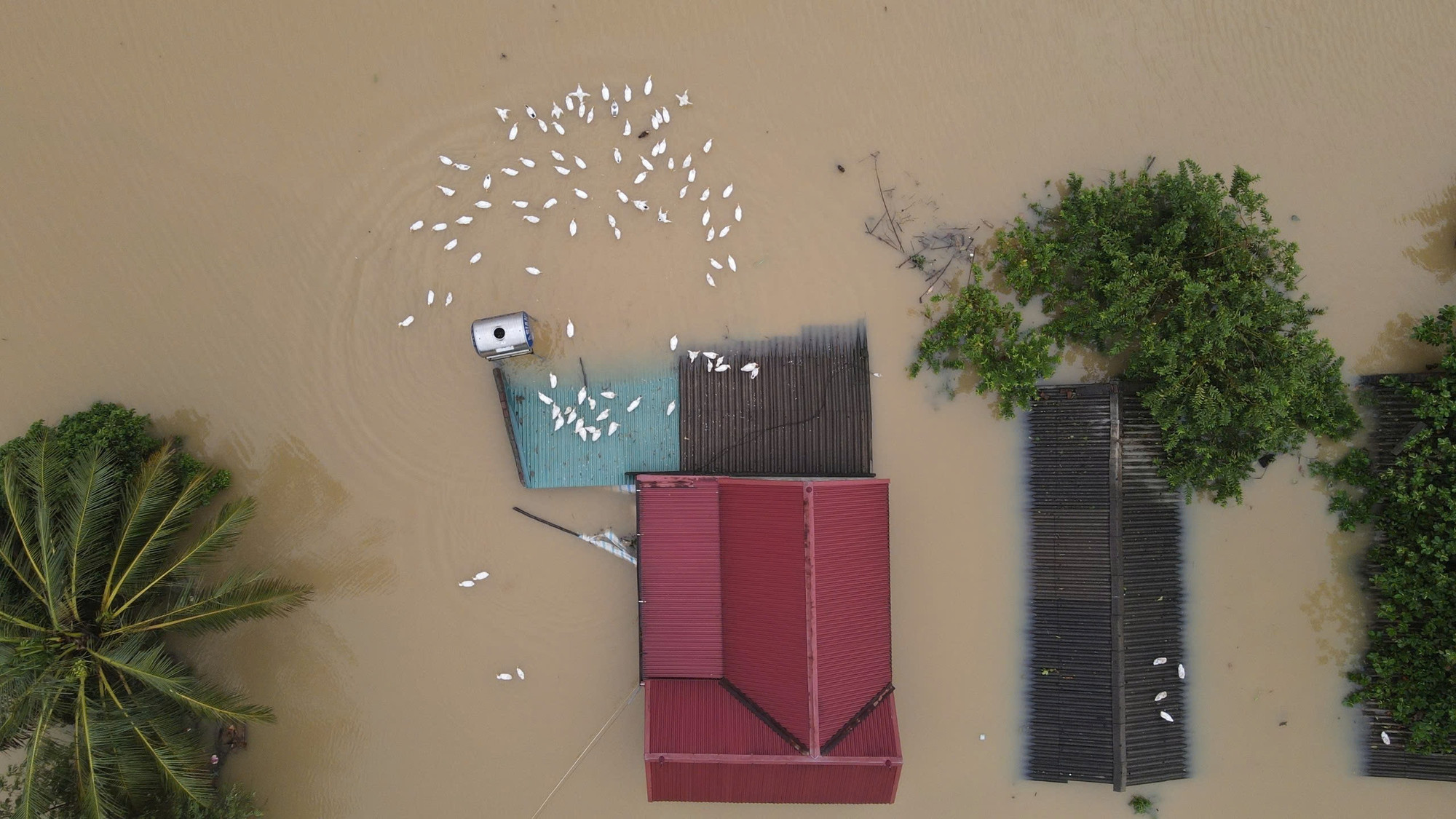 Nguyên nhân ngập lụt ở các xã ven sông Bùi thuộc huyện Chương Mỹ trong những năm qua phần lớn là do lũ rừng ngang từ Hòa Bình đổ về Hà Nội.