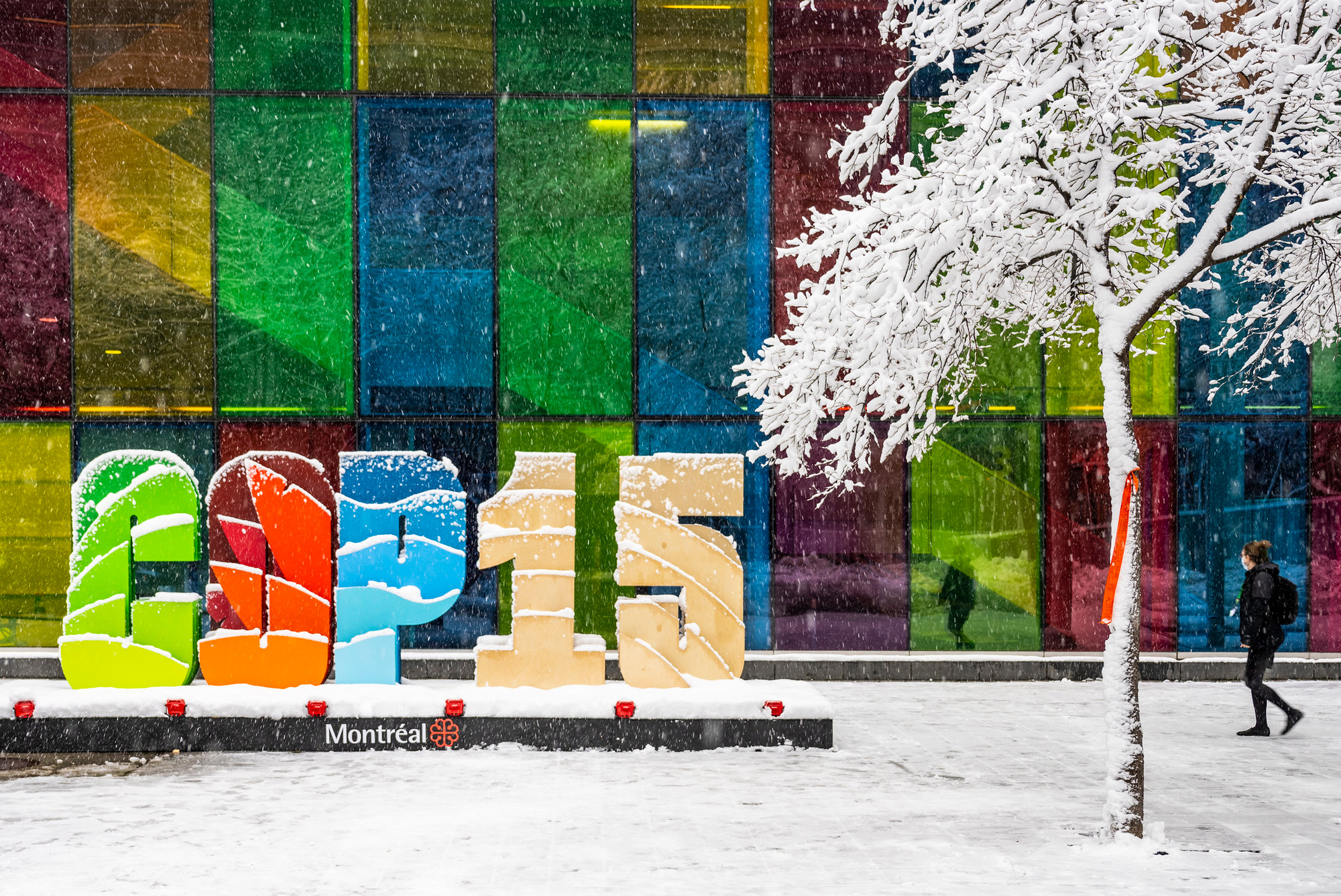 COP được tổ chức sau khi Công ước quốc tế về Đa dạng sinh học (CBD) được thông qua tại Hội nghị thượng đỉnh Trái đất ở Rio de Janeiro năm 1992. (Ảnh: COP16)