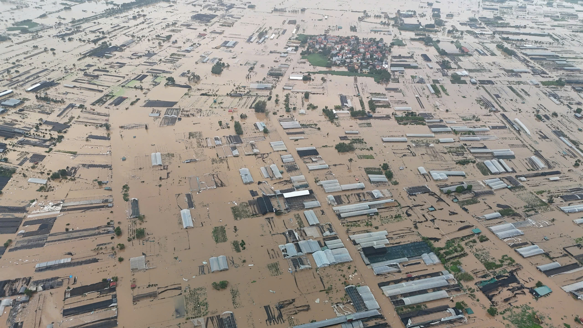 Xuân Quan, Phụng Công và Văn Đức được coi là vùng trồng hoa, cây cảnh lớn nhất tỉnh Hưng Yên; cung cấp cả cho một số địa phương lân cận như Hà Nội, Bắc Ninh, Hải Dương…