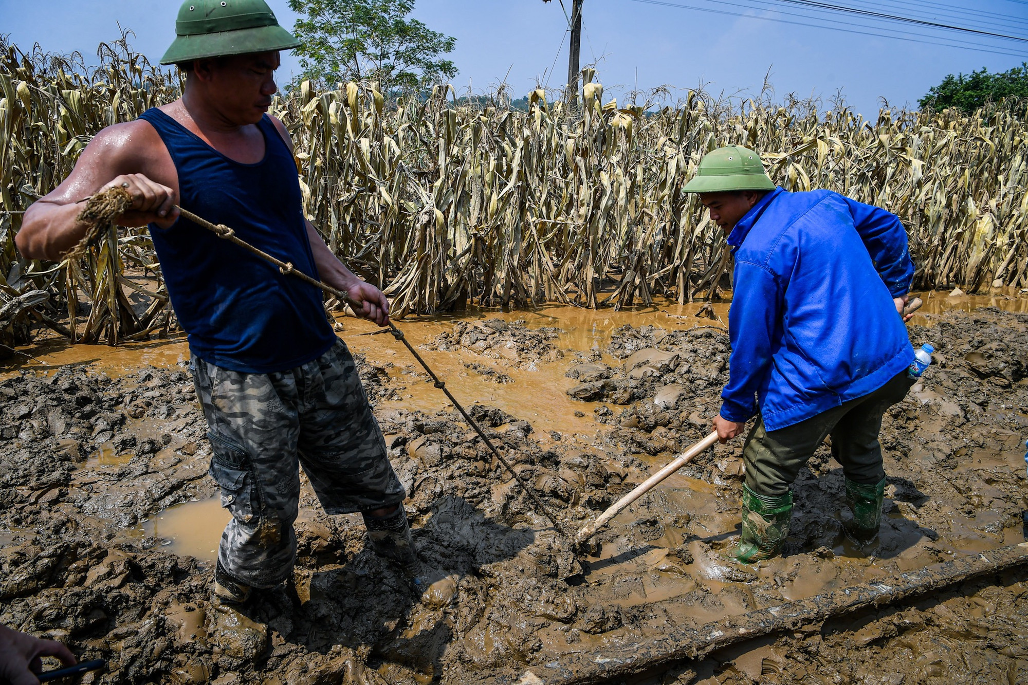 Mặc dù nhiều gia đình công nhân viên đường sắt cũng bị ảnh hưởng bởi bão lũ, tuy nhiên, người lao động vẫn cố gắng ra đường, tập trung khắc phục để kịp thời cho tàu hàng chở hàng cứu trợ từ các tỉnh phía Nam ra lên hỗ trợ, giúp bà con các tỉnh bị thiệt hại do mưa lũ.