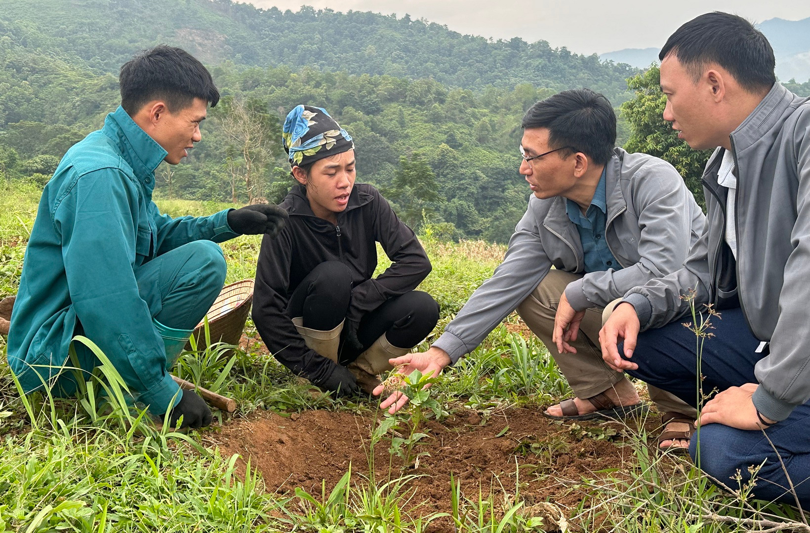 Cán bộ kỹ thuật Phòng Nông nghiệp và Phát triển nông thôn huyện Điện Biên hướng dẫn nông dân xã Ẳng Tở chăm sóc, trị bệnh cho cây cà-phê.