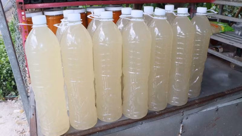 Nước thốt nốt cho hương vị ngọt ngào.