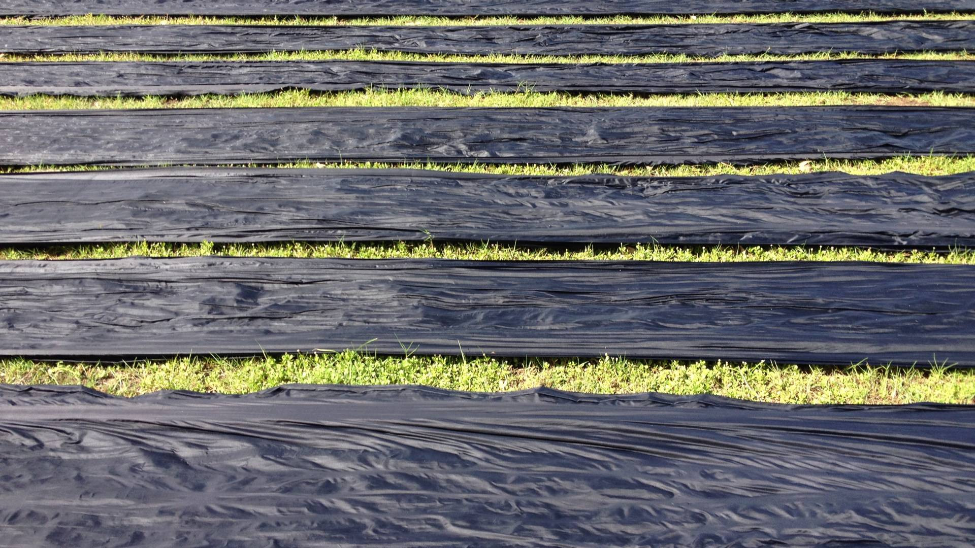 Lãnh Mỹ A nổi tiếng khắp nơi.