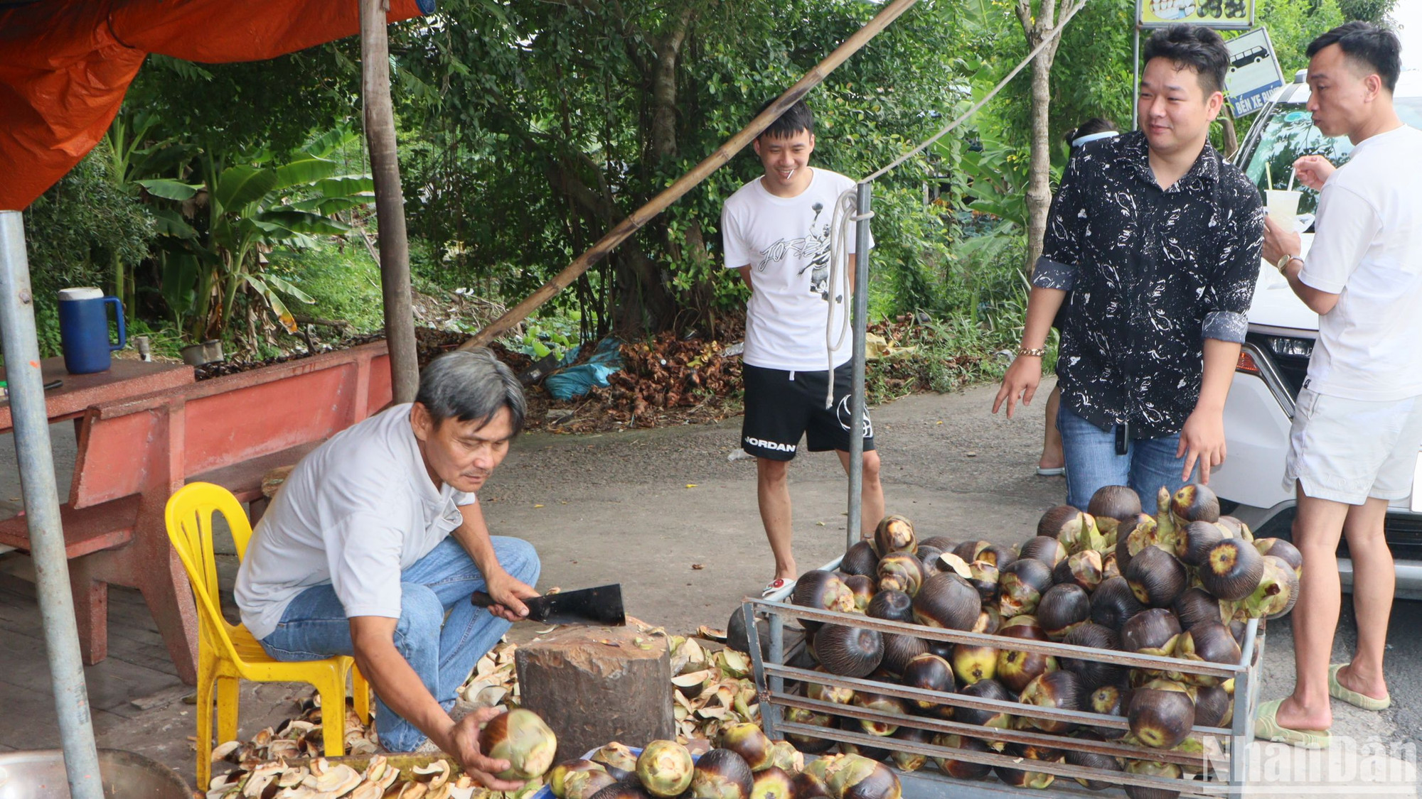Thốt nốt được nhiều du khách ưa chuộng do hương vị ngọt ngào.