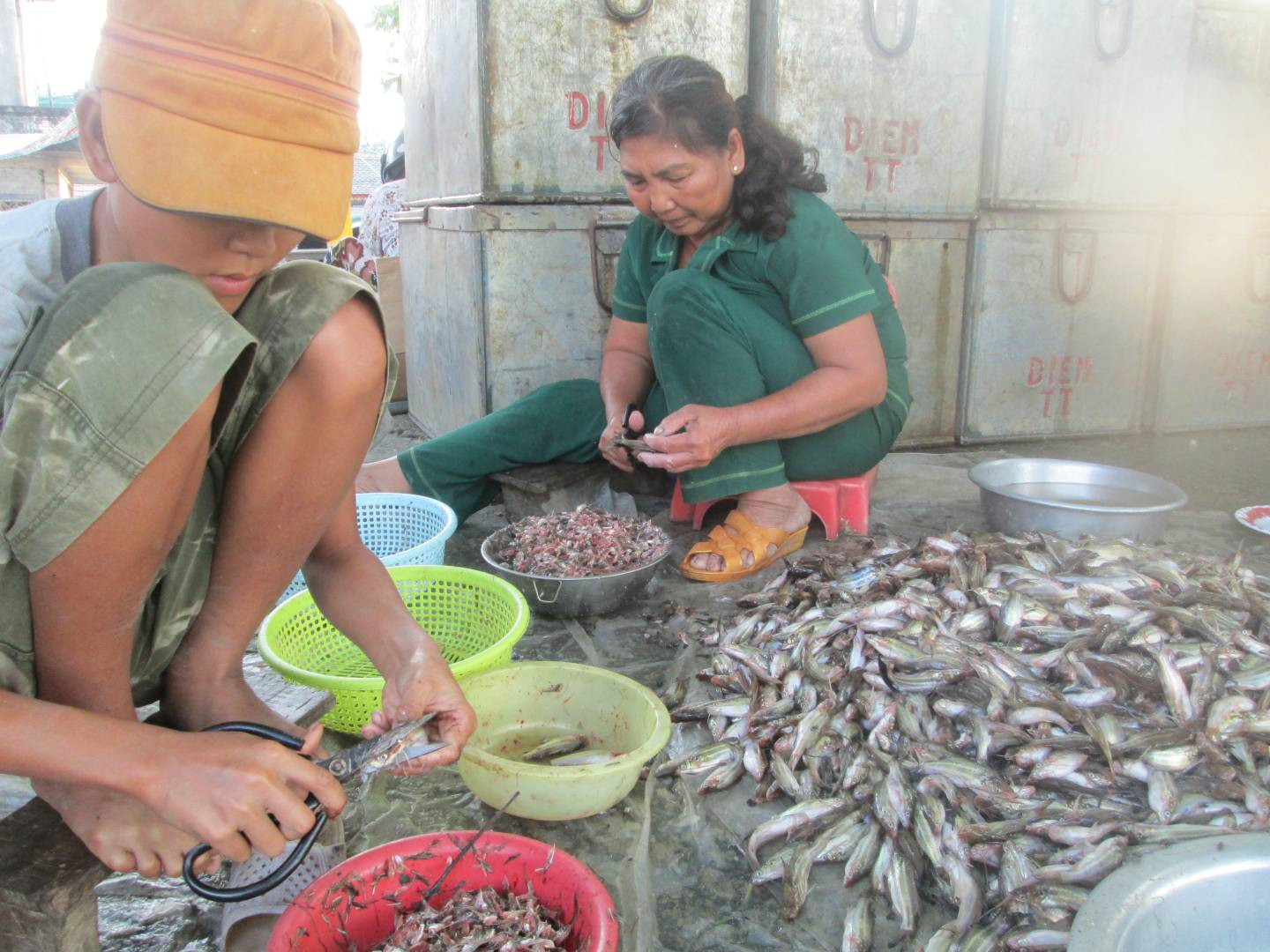 Làm mắm cá chốt ở Châu Đốc.