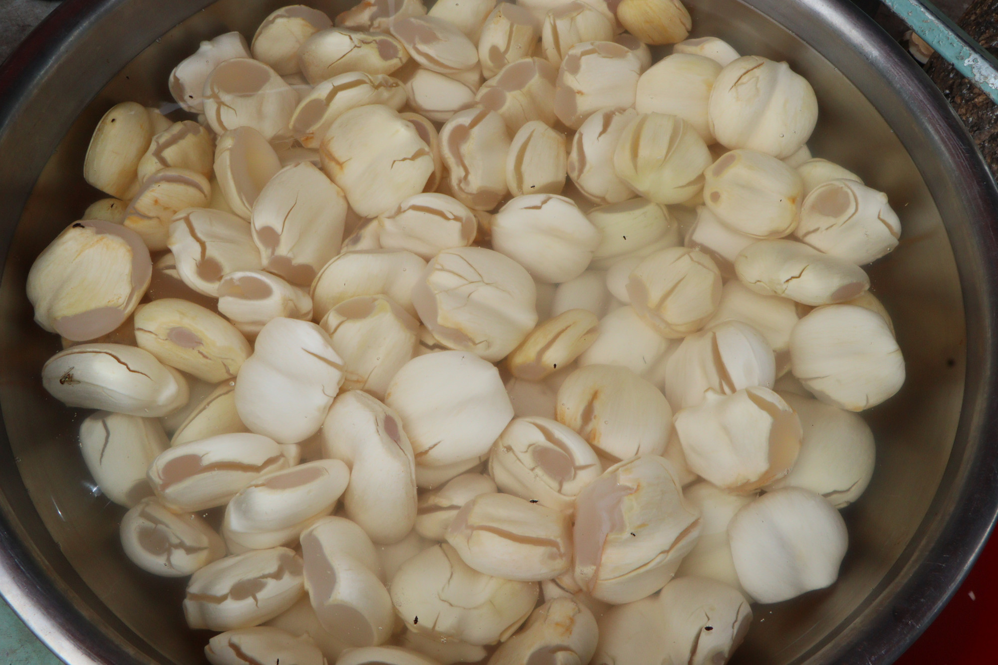 Thịt thốt nốt ăn rất ngon và dùng để nấu chè, làm mứt, bánh bò