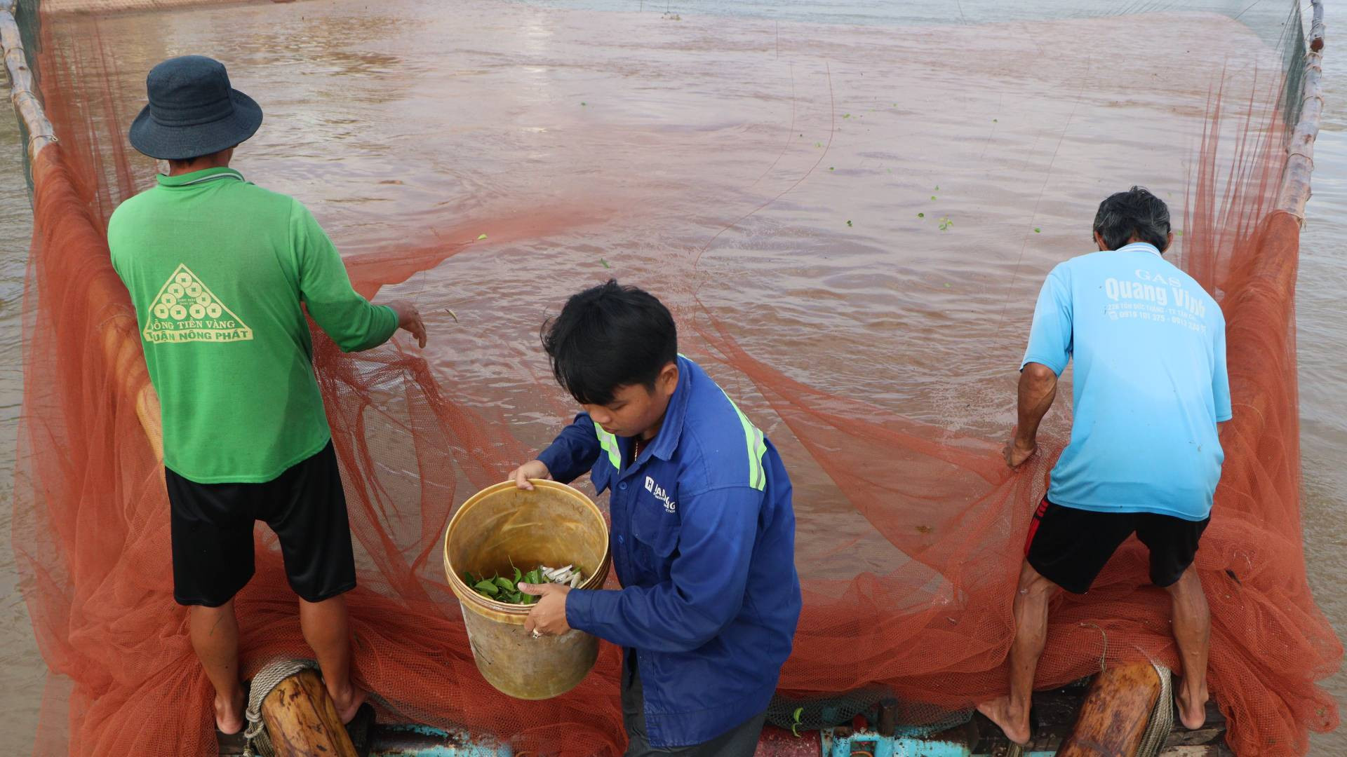 Một thùng này có thể chứa 10 kg cá linh.