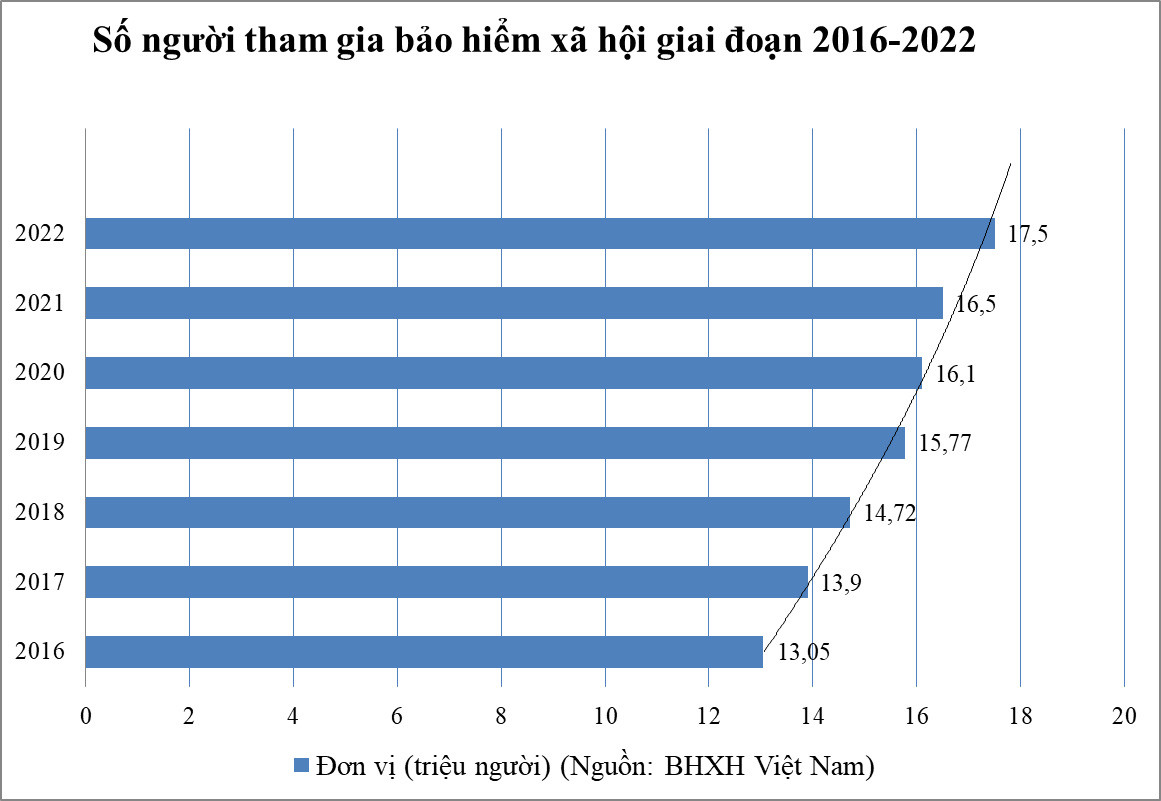 Đồ họa: Ngân Anh. Đồ họa: Ngân Anh.