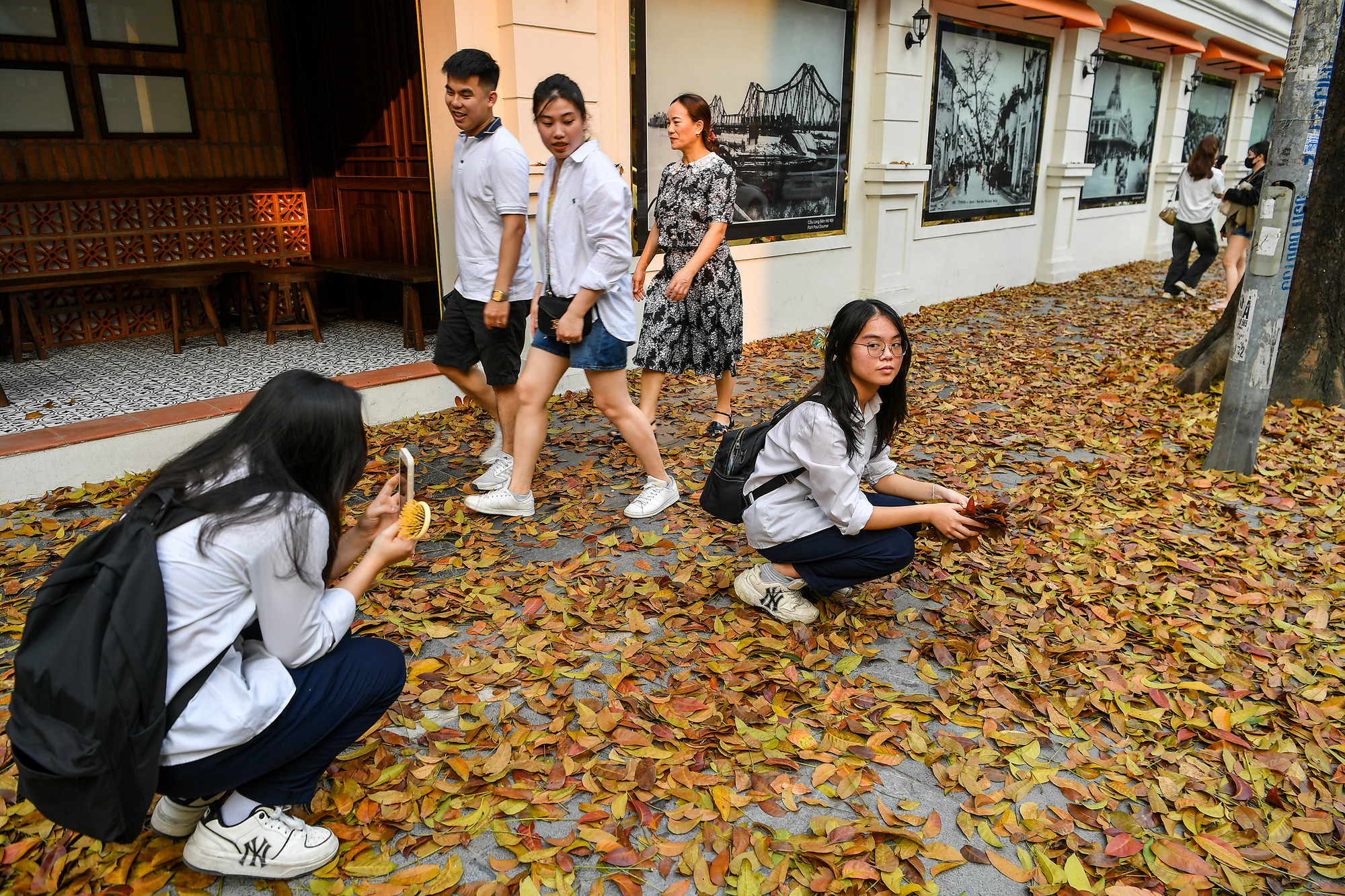 [Ảnh] "Con đường lá vàng" tuyệt đẹp bên ngoài tòa soạn Báo Nhân Dân ảnh 10