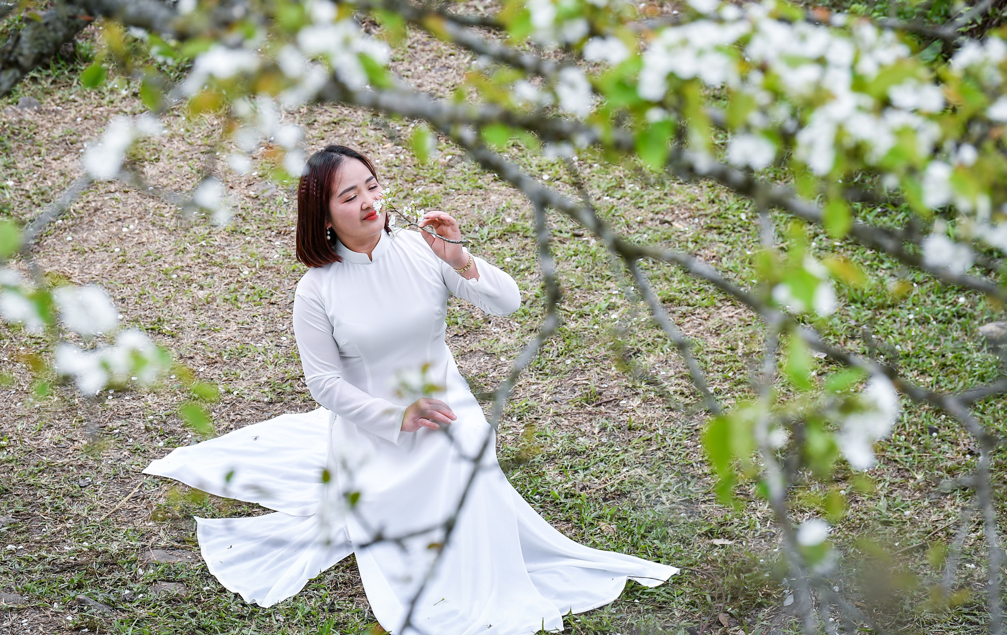 [Ảnh] Lạc bước giữa vườn hoa lê đẹp như cổ tích ở Na Hang, Tuyên Quang ảnh 9