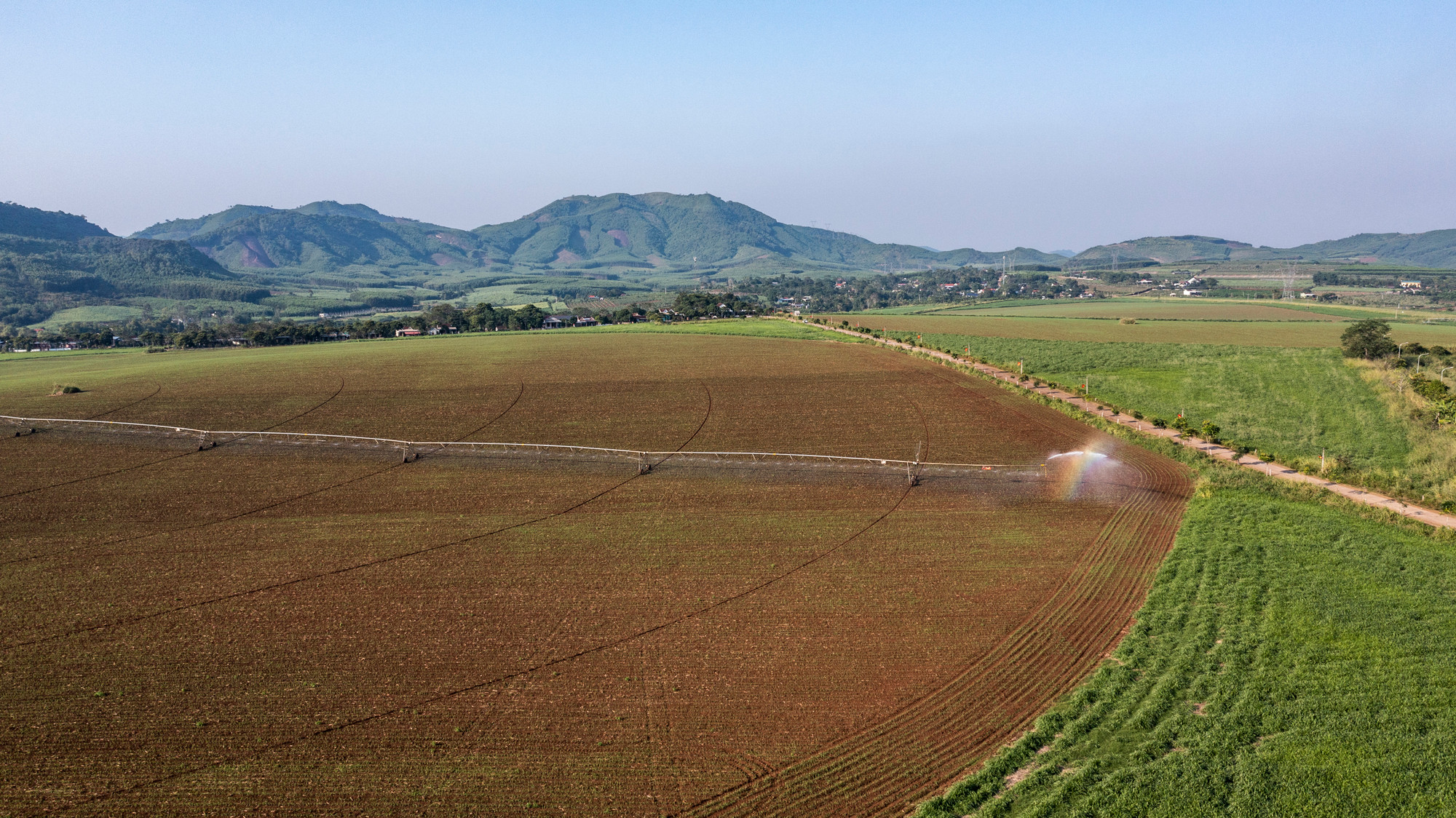 Để chăm sóc cho diện tích hoa hướng dương, ngô, cao lương và cỏ, Trang trại TH đầu tư hệ thống tưới tự động “cánh tay khổng lồ” dài từ 500-700m, bảo đảm diện tích cỏ sinh trưởng tốt.