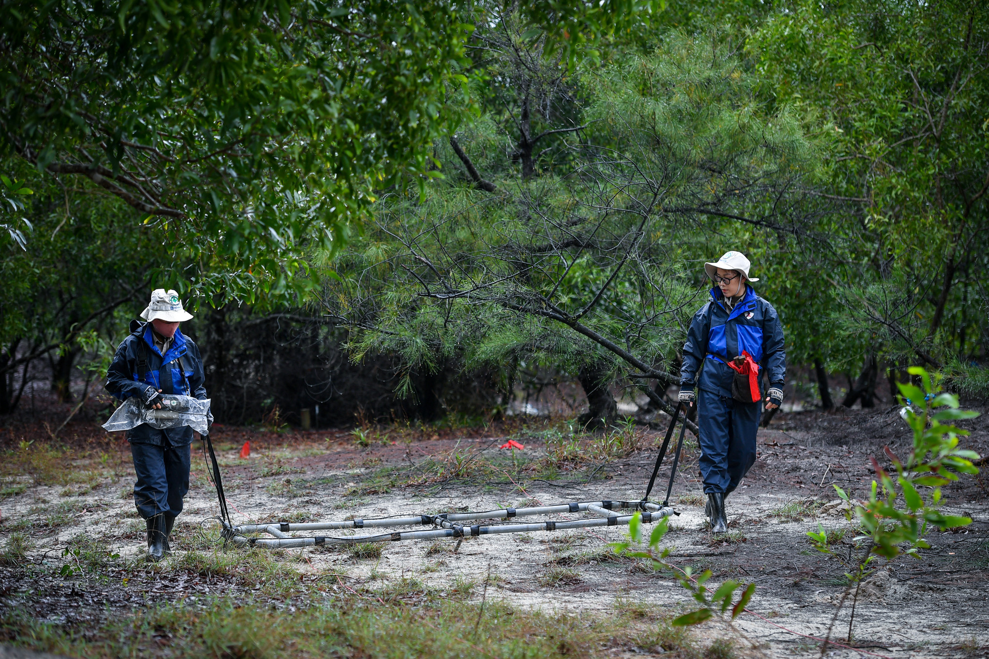 Phía đồi cát, các đồng đội của chị Vân đang tiến hành nhiệm vụ hằng ngày của mình. Dẫn chúng tôi tiếp cận gần nhất có thể, chị cho hay, toàn bộ khu vực ô nhiễm bom, mìn sẽ được chia thành các ô 50mx50m sau đó chia nhỏ thành các luống với độ rộng 1,9m.