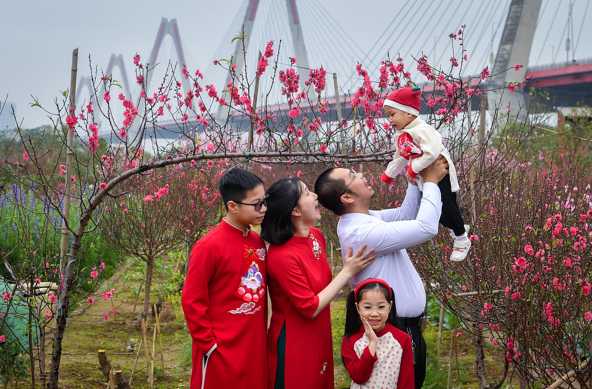 Khoảnh khắc một gia đình hạnh phúc bên những cánh đào rực rỡ sắc xuân.