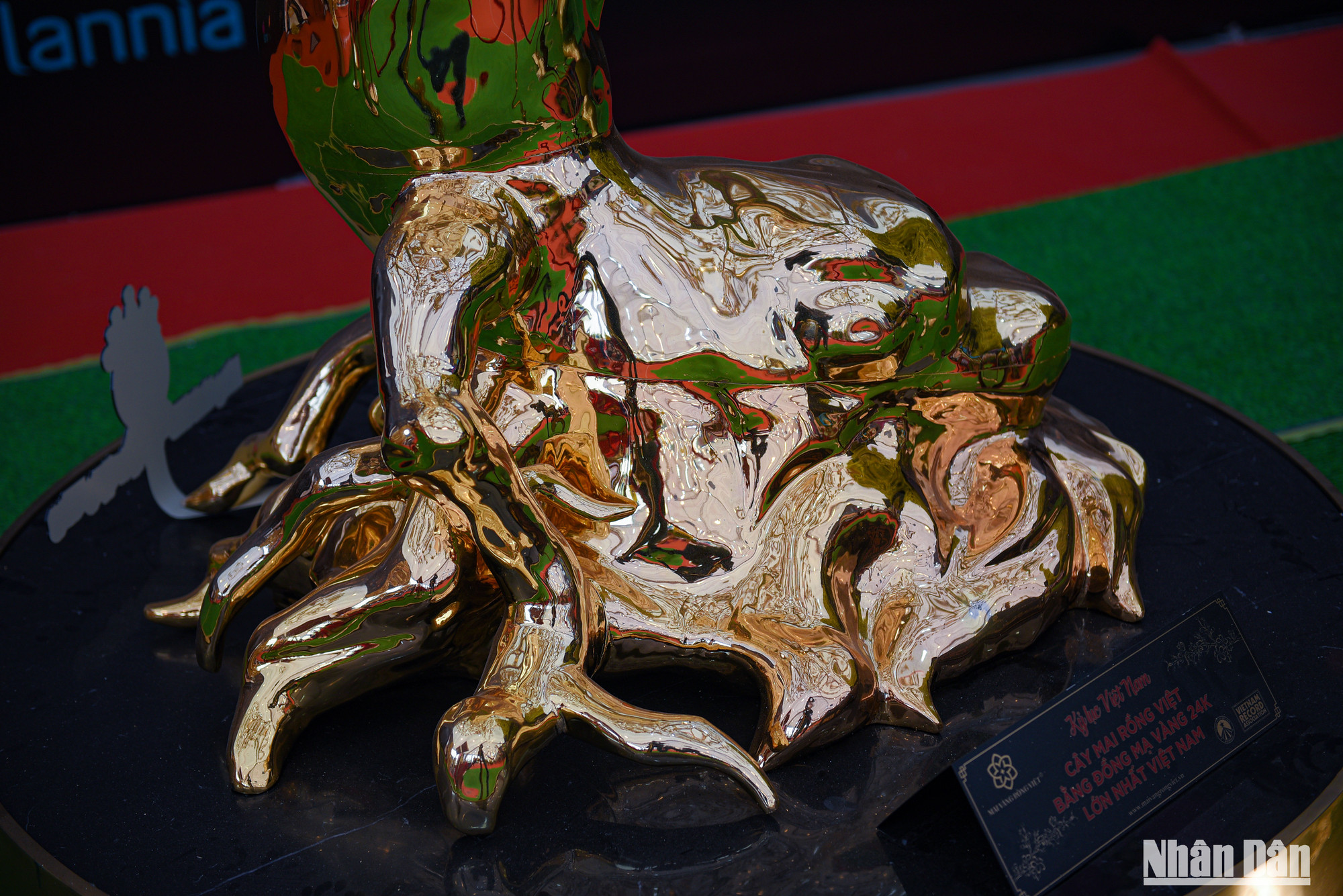 Phần rễ cây mai vàng cũng được chế tác tỉ mỉ.