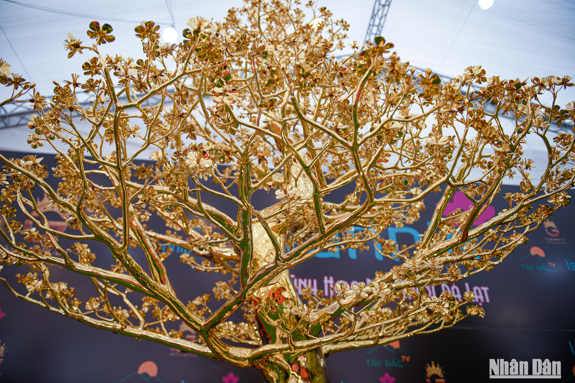 Cây mai mạ vàng có chiều cao 3m, khối lượng 288kg được làm từ đồng mạ vàng 24K.