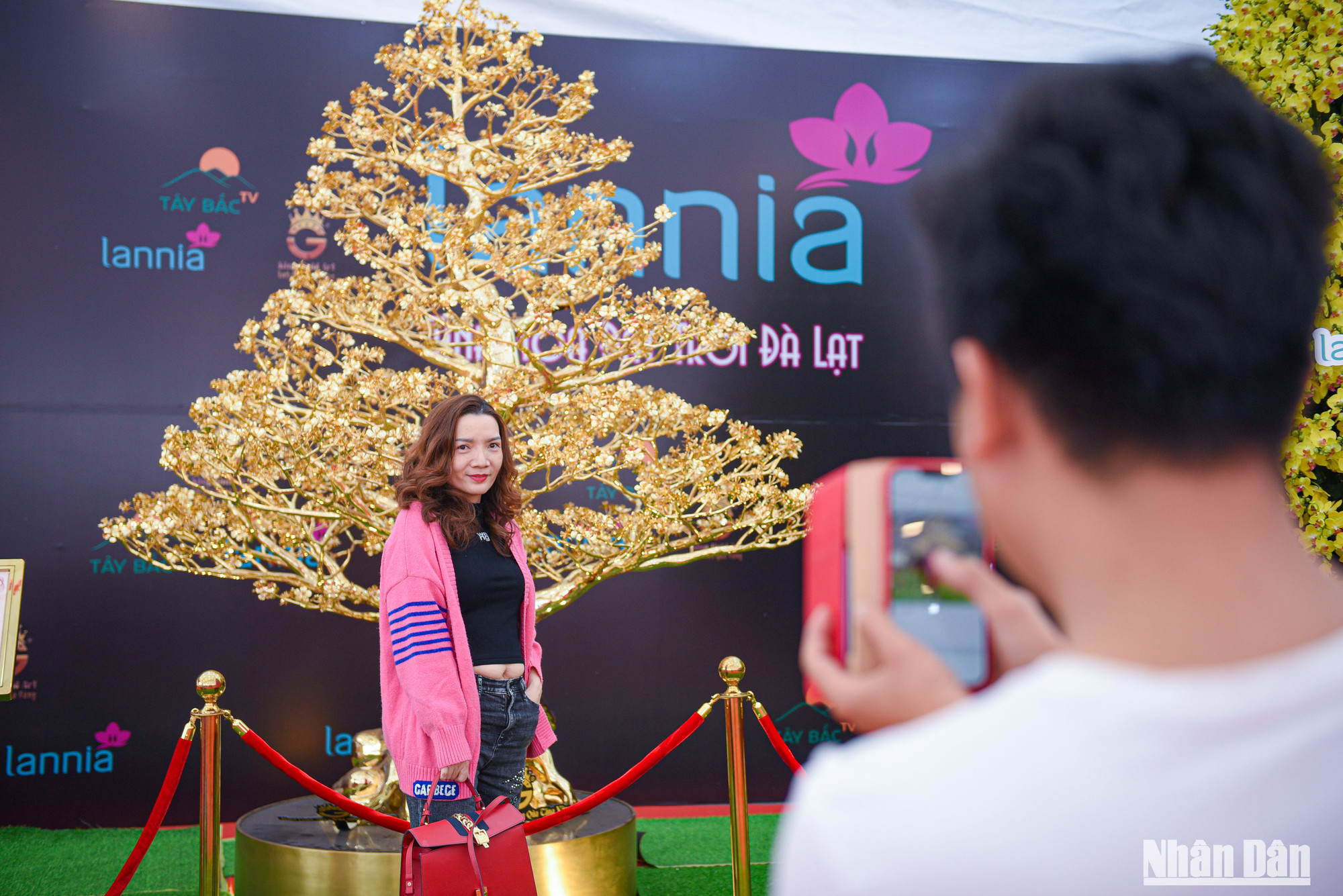 Nhờ sự độc đáo, cây mai mạ vàng 24k thu hút nhiều người tham quan, chụp ảnh.