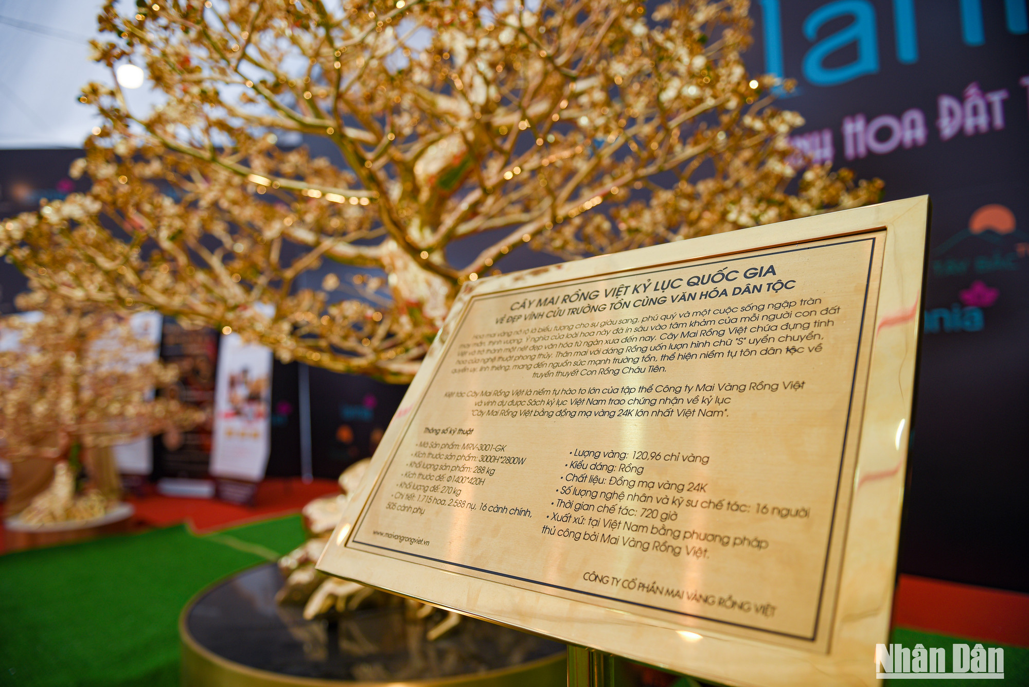 Cây hoa mai đồng dáng rồng gồm 1.715 bông hoa, 1.270 nụ nhỏ, 16 cành chính và 505 cành phụ được chế tạo thủ công hoàn toàn, được công nhận kỷ lục Quốc gia Việt Nam.