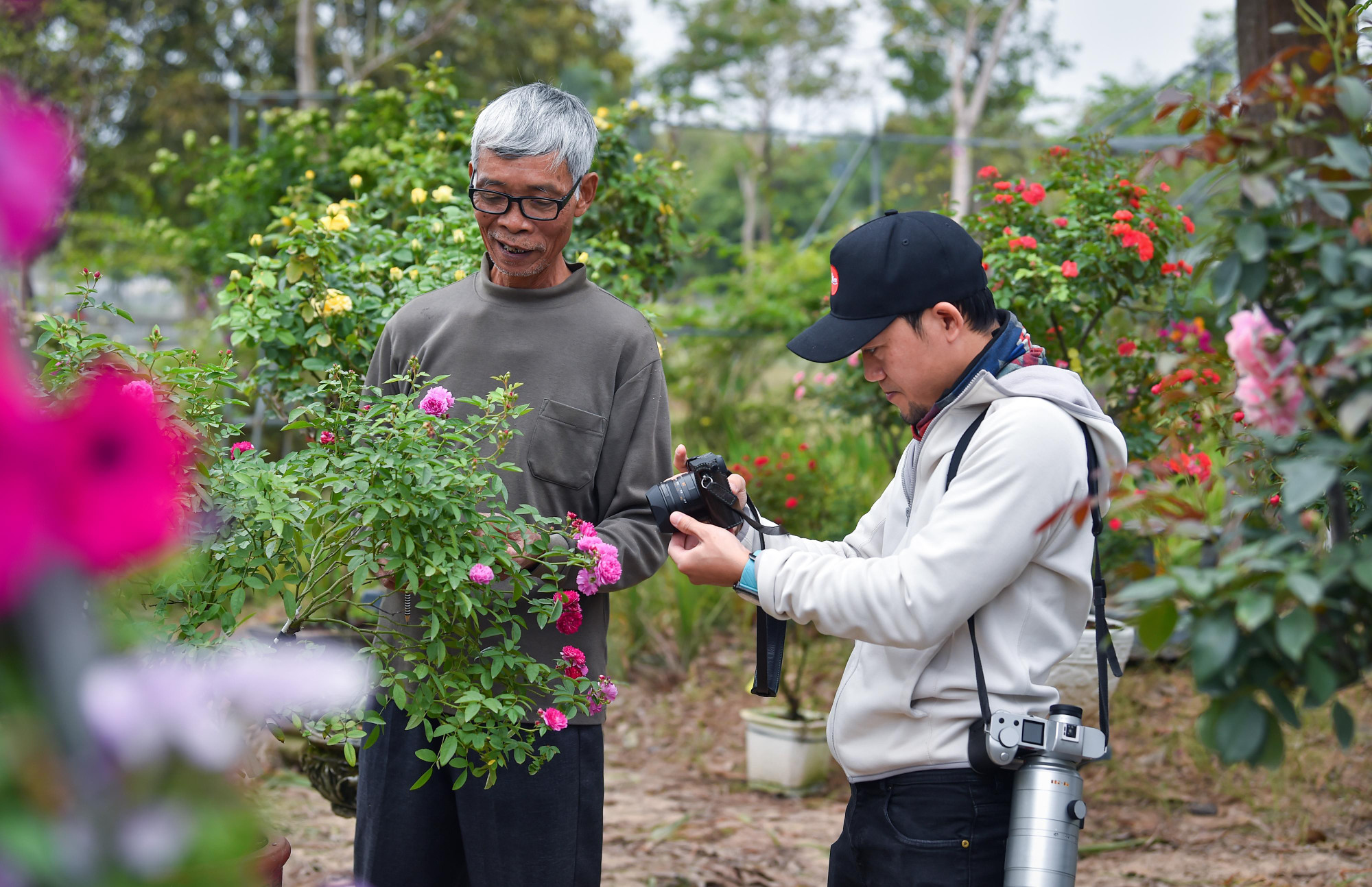 Lễ hội hoa Mê Linh thu hút cả những nhiếp ảnh gia khắp nơi yêu cái đẹp tìm đến.
