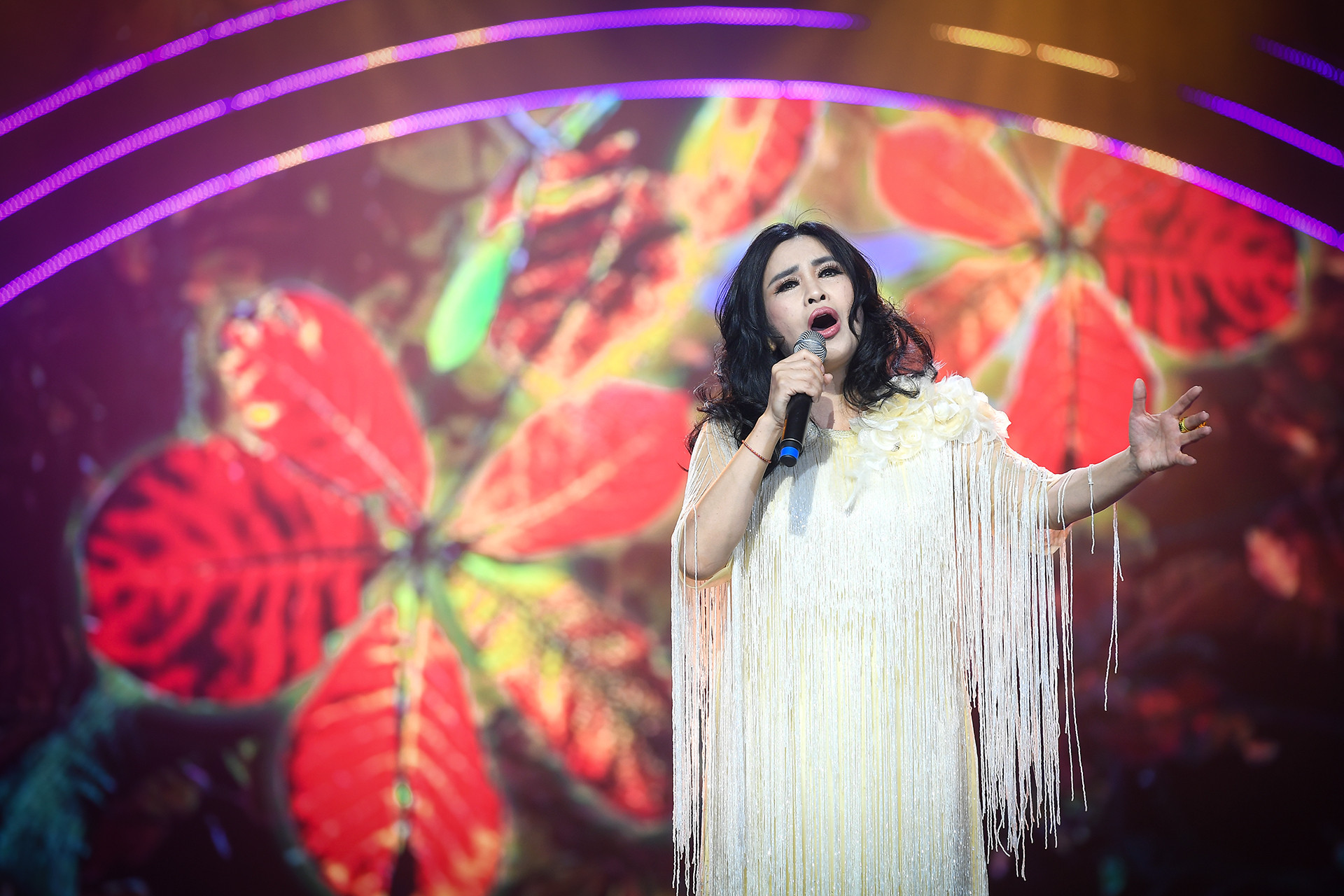 [Ảnh] Đêm nhạc "Mạch nguồn ví, giặm" ảnh 8