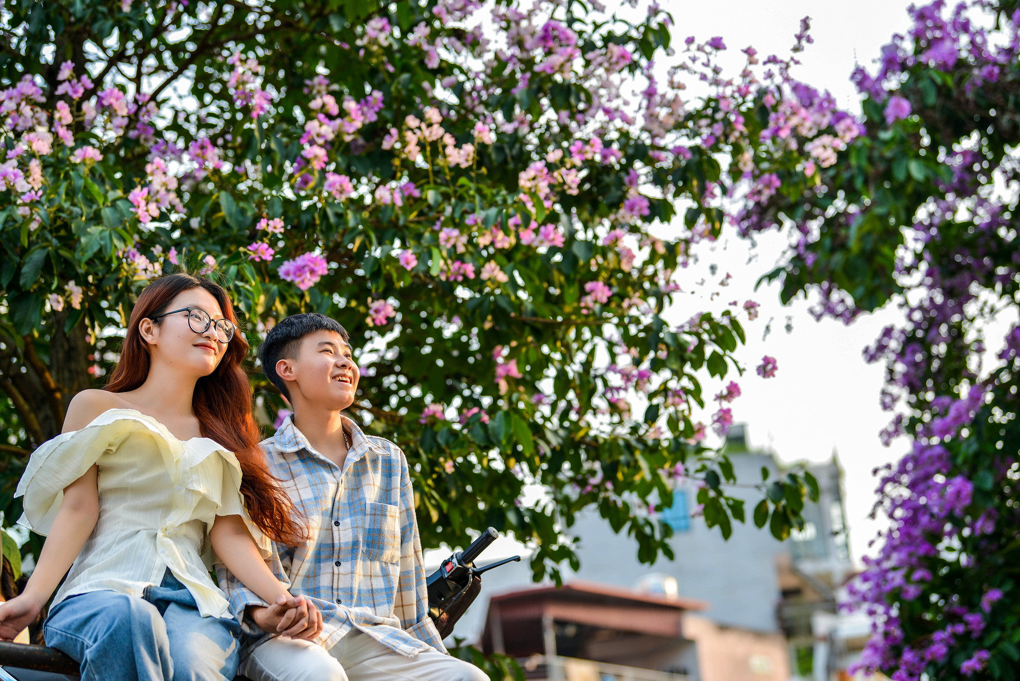 Đôi bạn trẻ tranh thủ ghi lại khoảnh khắc đẹp nhất của mùa hoa này trong năm.