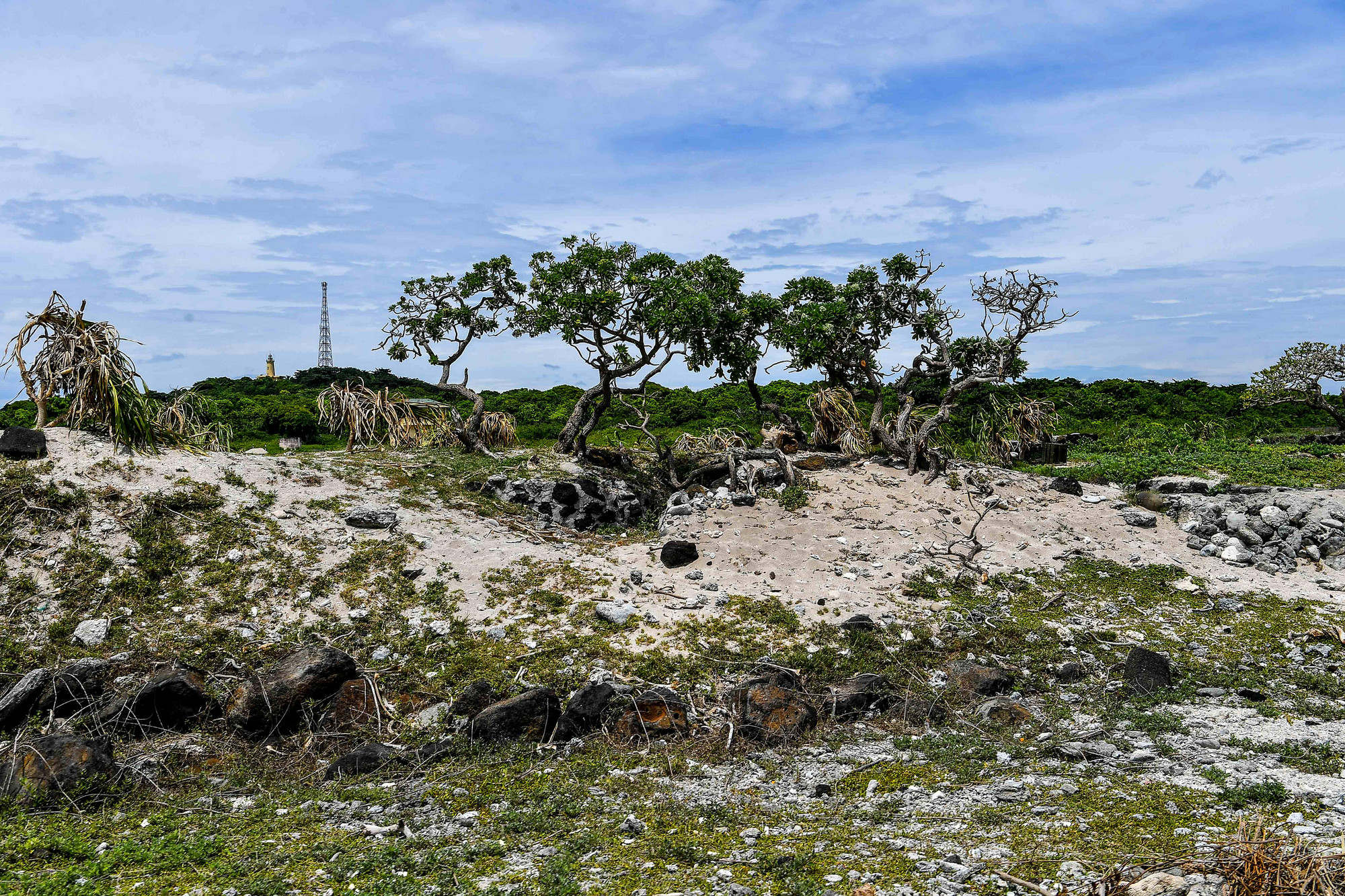 Là đảo hình thành bởi hoạt động kiến tạo phun trào của núi lửa cách đây trên 4 vạn năm, Cồn Cỏ có giá trị về địa chất và sinh thái cảnh quan như một bảo tàng thiên nhiên với các thềm đá bazan độc đáo dọc bờ biển, các bãi tắm nhỏ hoang sơ được tạo thành từ vụn san hô, sò, điệp, cát... nước biển trong xanh, nhiệt độ nước biển ổn định.