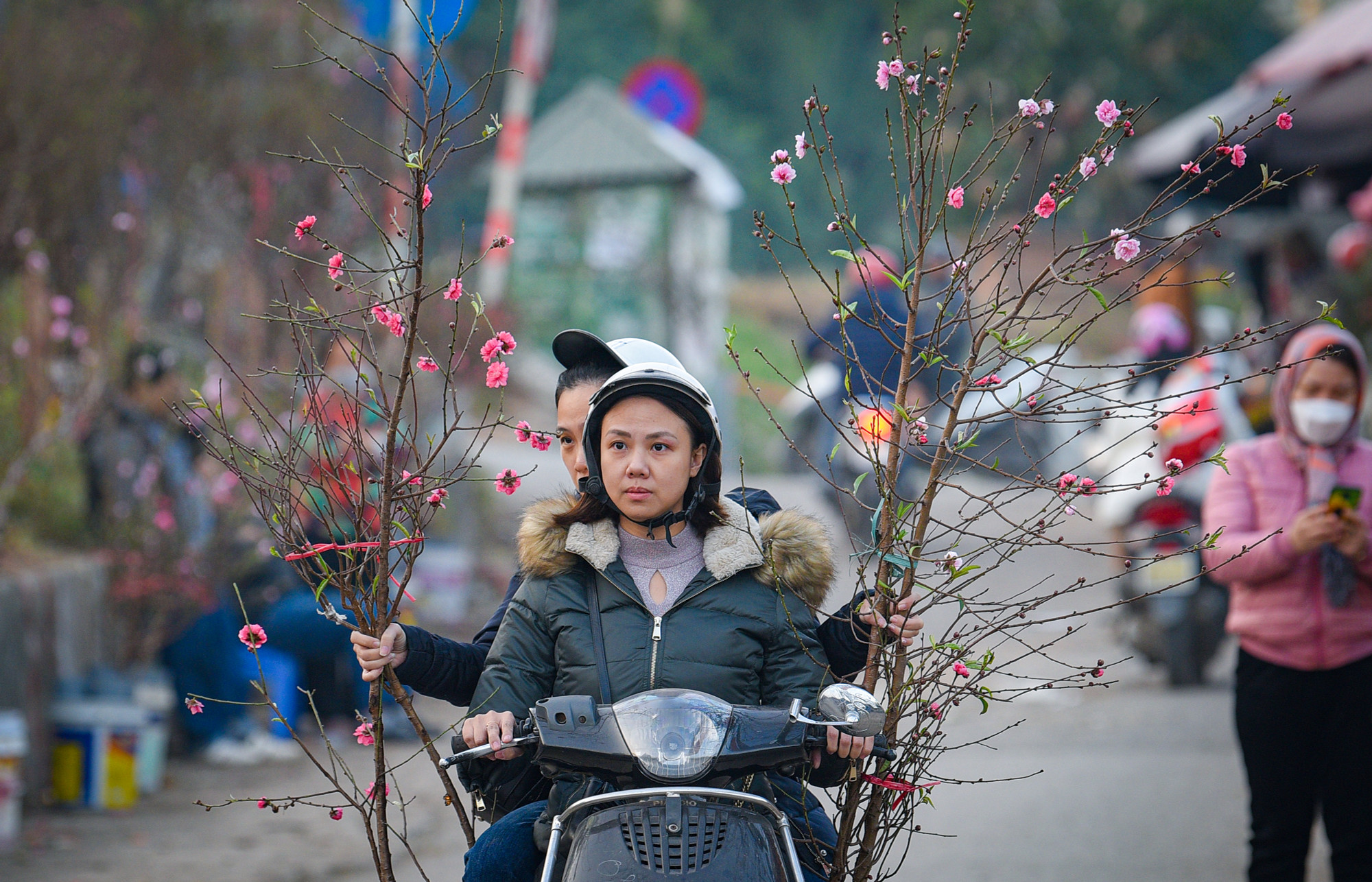 Nhiều người dân lựa chọn hoa đào để chơi vào dịp Tết Dương lịch sắp tới.