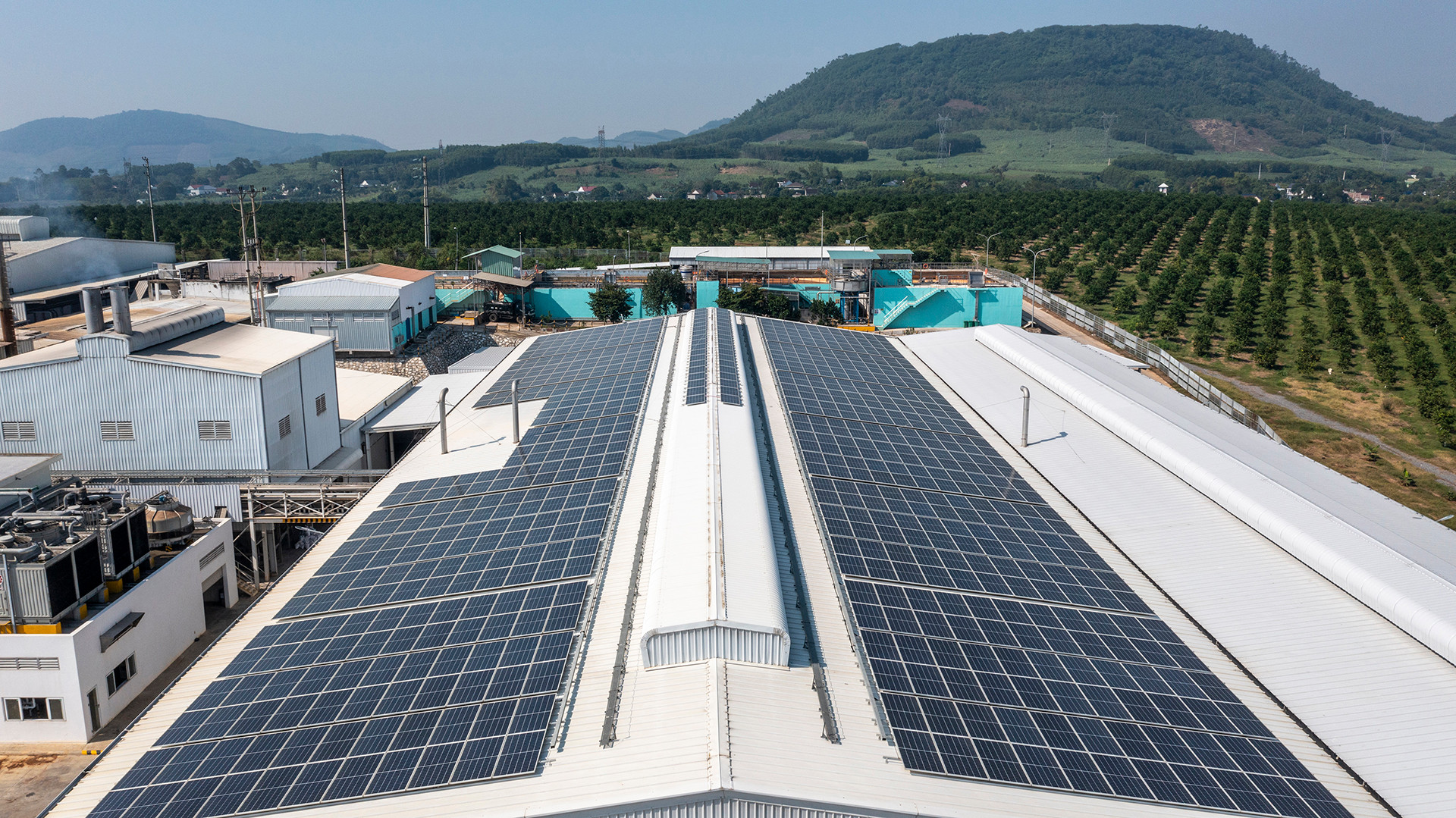 Xu hướng phát triển xanh như việc tự tạo ra "nguồn điện sạch" thay thế các nguồn năng lượng hóa thạch, góp phần bảo vệ môi trường cũng được TH đặt trọng tâm. Đến năm 2020, tập đoàn TH triển khai lắp đặt pin năng lượng mặt trời trên các mái chuồng trại và nhà máy, vừa sản xuất nguồn điện "xanh" vừa góp phần hạn chế quá trình hấp thu nhiệt, từ đó giảm nhiệt cho chuồng nuôi.