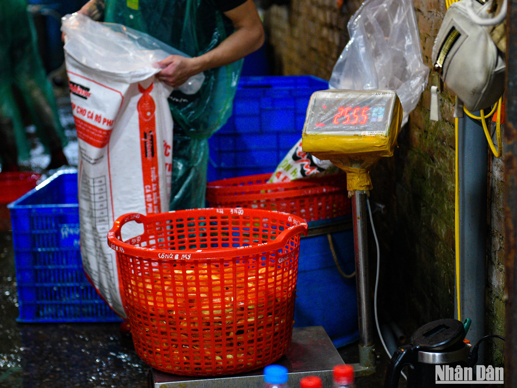 Loại cá chọn tại chợ có giá khoảng 90 - 120 nghìn đồng/kg, còn mua theo kg múc lên thì giá hoảng 60 nghìn/kg.