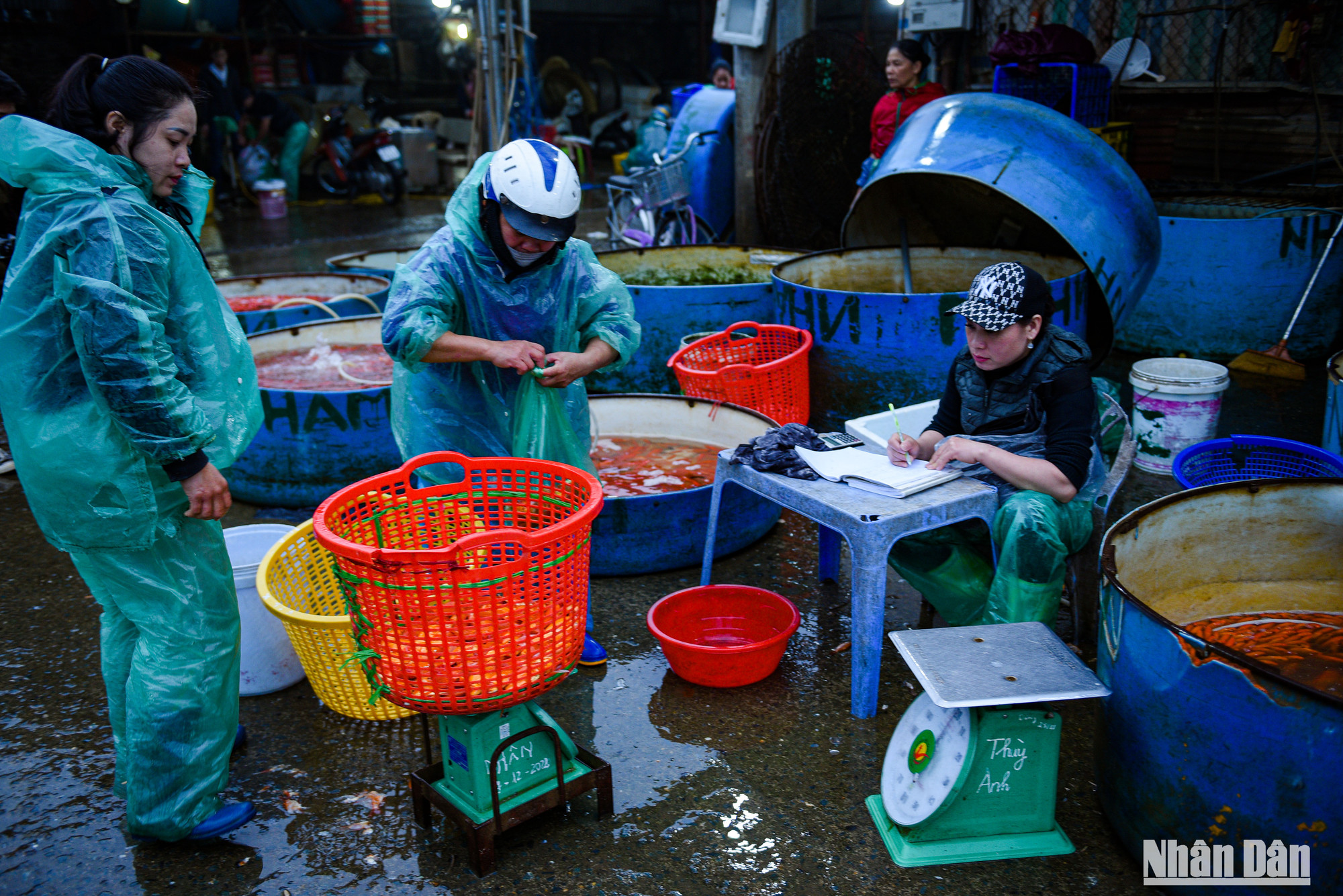 Về giá cả năm nay tại chợ giảm giá mạnh, nhiều tiểu thương than lỗ do cá đã đặt từ trước.