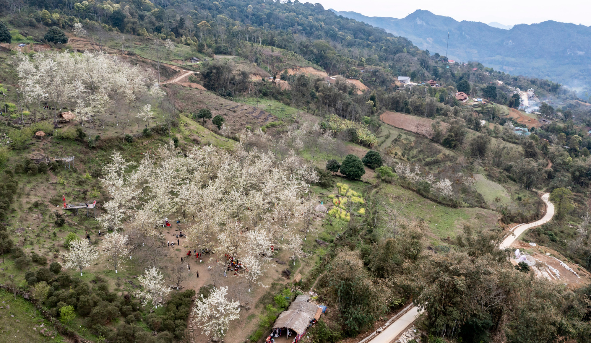 [Ảnh] Lạc bước giữa vườn hoa lê đẹp như cổ tích ở Na Hang, Tuyên Quang ảnh 15