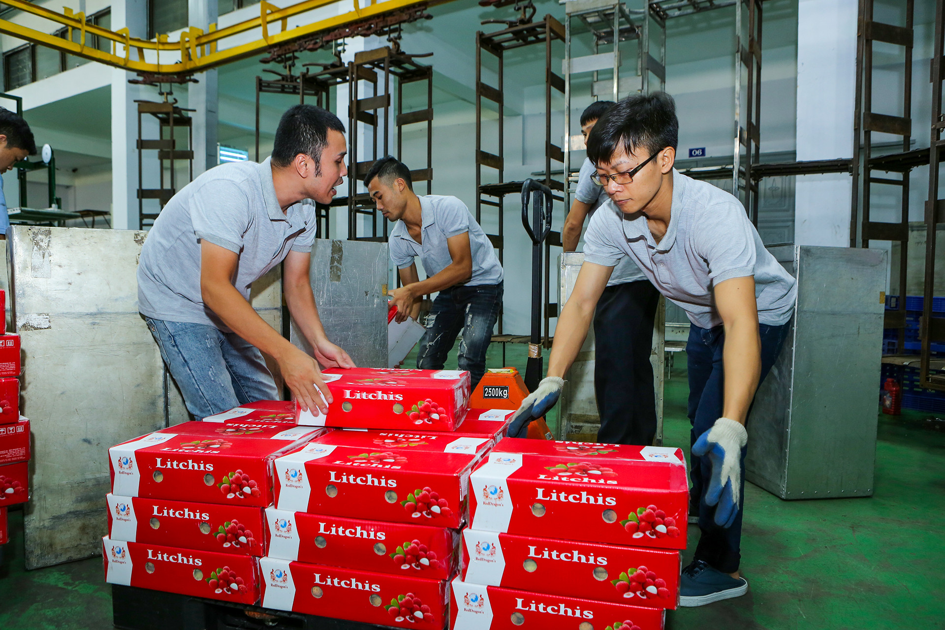 [Ảnh] Vải thiều Lục Ngạn, sản phẩm OCOP nổi tiếng của Bắc Giang ảnh 14