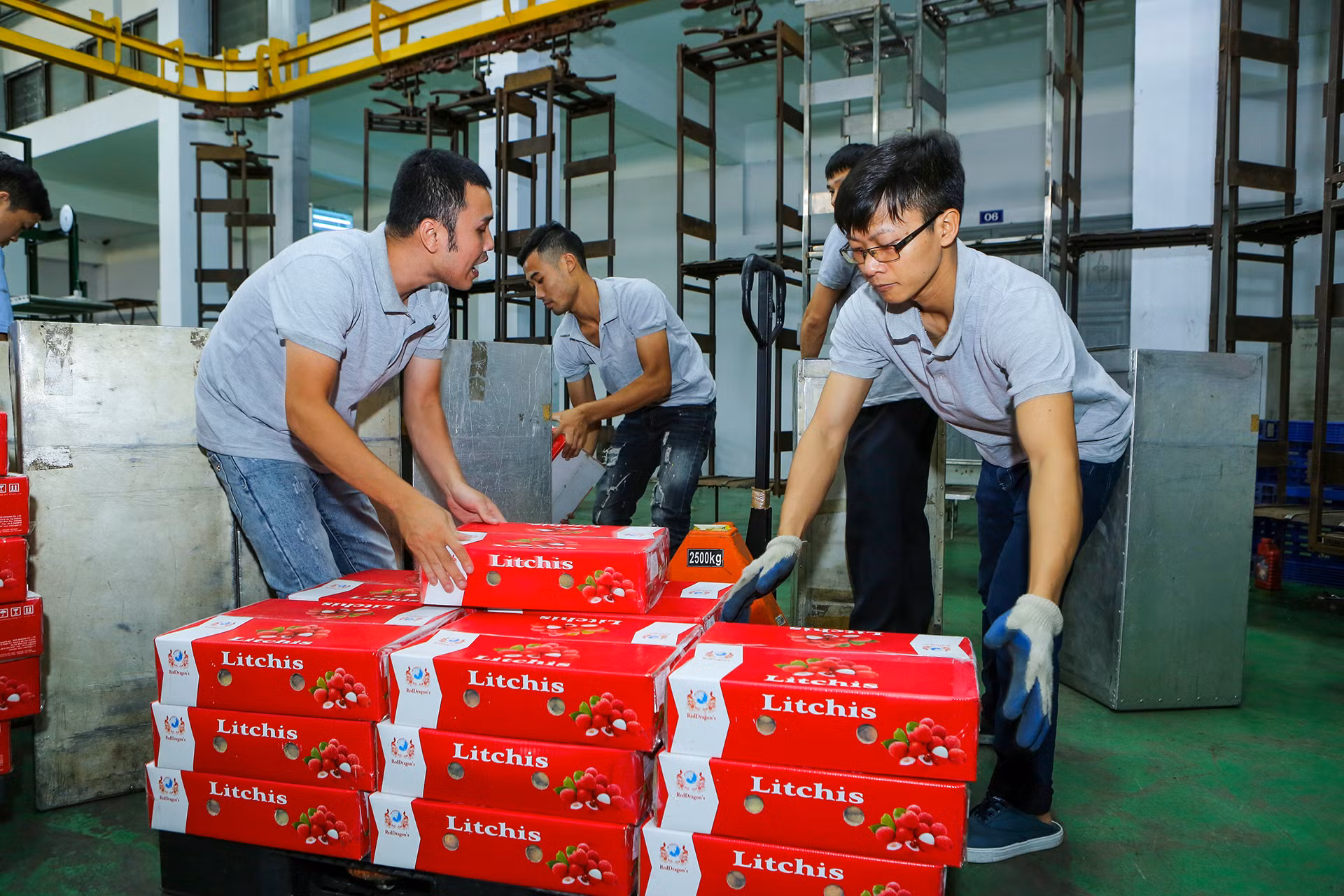 [Ảnh] Vải thiều Lục Ngạn, sản phẩm OCOP nổi tiếng của Bắc Giang ảnh 14