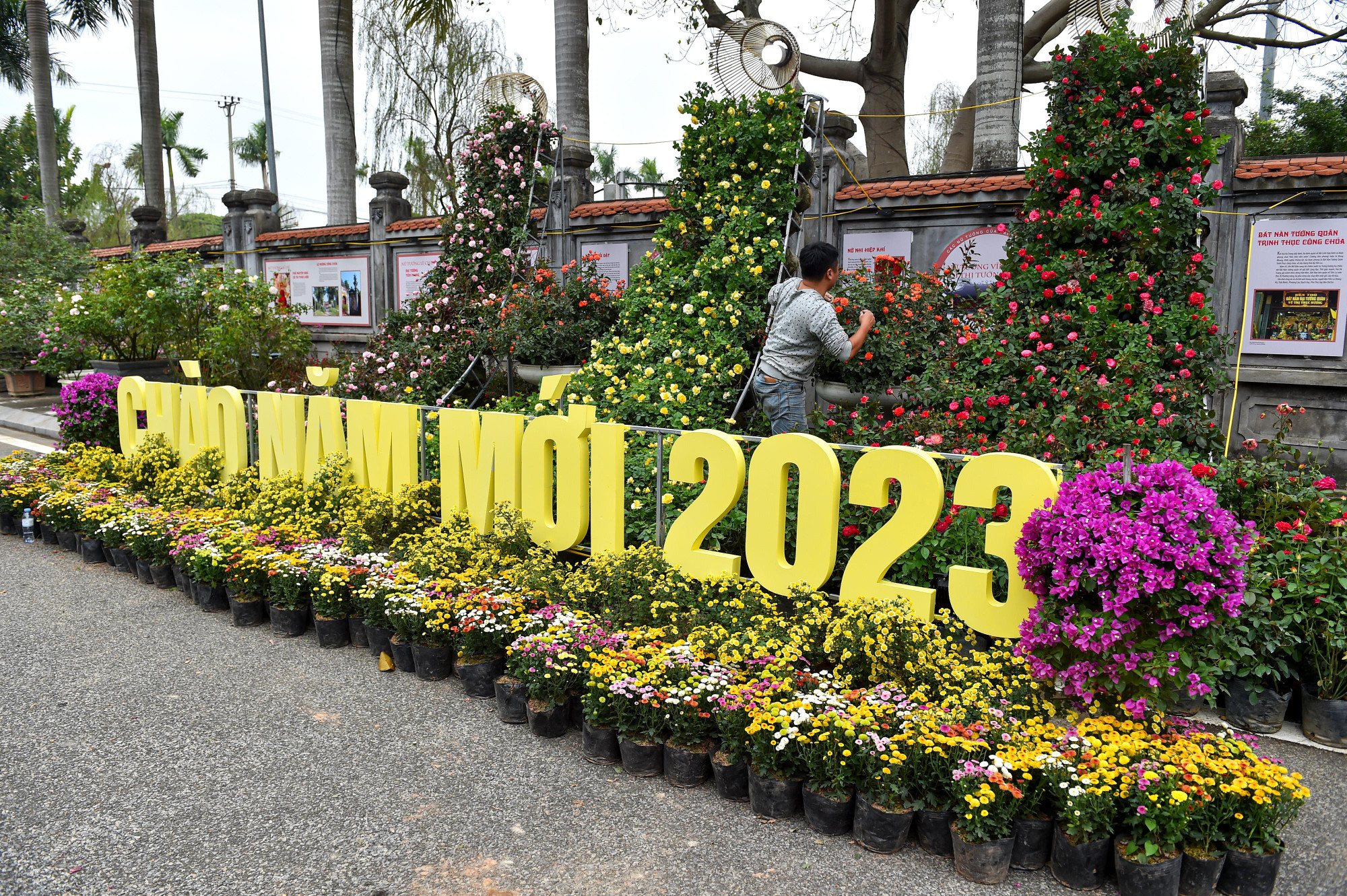 Nhiều khu vực hoa được dàn dựng để du khách chụp ảnh "check-in" chào đón năm mới.