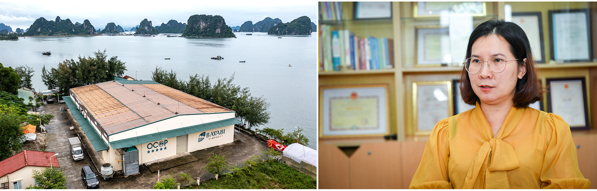 Bà Phạm Thị Thu Hiền, Giám đốc Công ty Bavabi chia sẻ cùng phóng viên Báo Nhân Dân: "Là doanh nghiệp tiên phong trong chế biến sâu các sản phẩm từ hàu, từ năm 2014 đến nay, Bavabi đã cho ra thị trường lượng lớn ruốc hàu, đưa ruốc hàu Vân Đồn trở thành sản phẩm đặc sản của Quảng Ninh. Có thể thấy, việc doanh nghiệp tham gia sản xuất sản phẩm OCOP đã tạo được nhiều lợi thế cạnh tranh, chuyên nghiệp và đẳng cấp hơn". Cùng với việc không ngừng đổi mới công nghệ, phát triển thị trường, chị Hiền mong muốn Ruốc hàu Vân Đồn sẽ vươn mình ra thị trường thế giới hơn nữa".