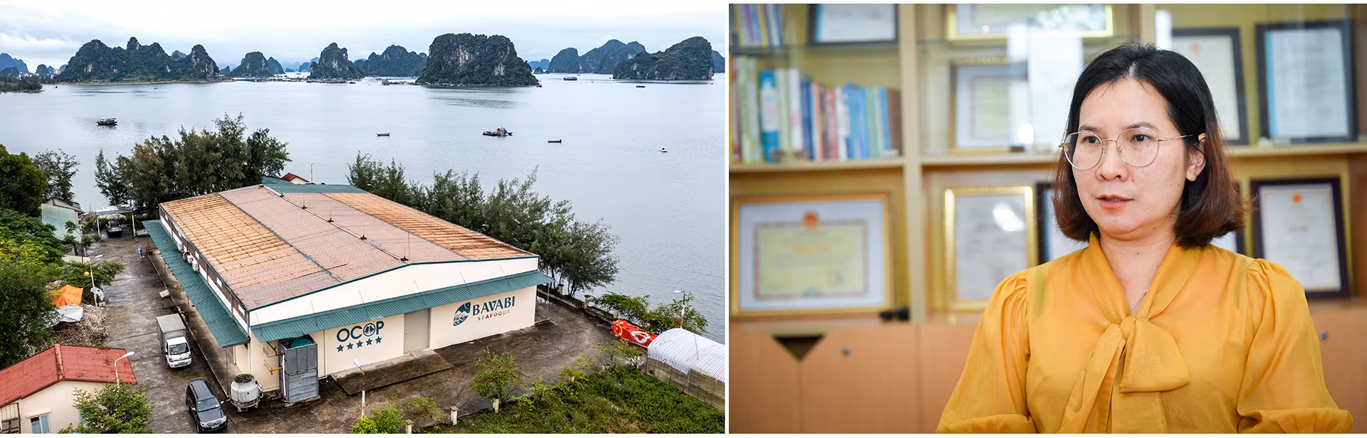 Bà Phạm Thị Thu Hiền, Giám đốc Công ty Bavabi chia sẻ cùng phóng viên Báo Nhân Dân: "Là doanh nghiệp tiên phong trong chế biến sâu các sản phẩm từ hàu, từ năm 2014 đến nay, Bavabi đã cho ra thị trường lượng lớn ruốc hàu, đưa ruốc hàu Vân Đồn trở thành sản phẩm đặc sản của Quảng Ninh. Có thể thấy, việc doanh nghiệp tham gia sản xuất sản phẩm OCOP đã tạo được nhiều lợi thế cạnh tranh, chuyên nghiệp và đẳng cấp hơn". Cùng với việc không ngừng đổi mới công nghệ, phát triển thị trường, chị Hiền mong muốn Ruốc hàu Vân Đồn sẽ vươn mình ra thị trường thế giới hơn nữa".