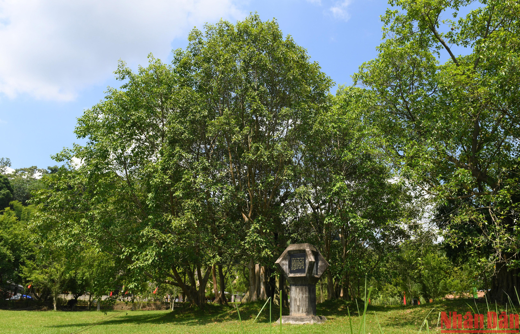 Dưới gốc đa Tân Trào, chiều ngày 16 tháng 8 năm 1945, Đại tướng Võ Nguyễn Giáp đã đọc bản Quân lệnh số 1, ngay sau đó quân Việt Nam Giải phóng đã làm lễ xuất quân tiến về giải phóng Thủ đô Hà Nội trước sự chứng kiến của toàn thể đồng bào các dân tộc Việt Bắc và 60 đại biểu toàn quốc.