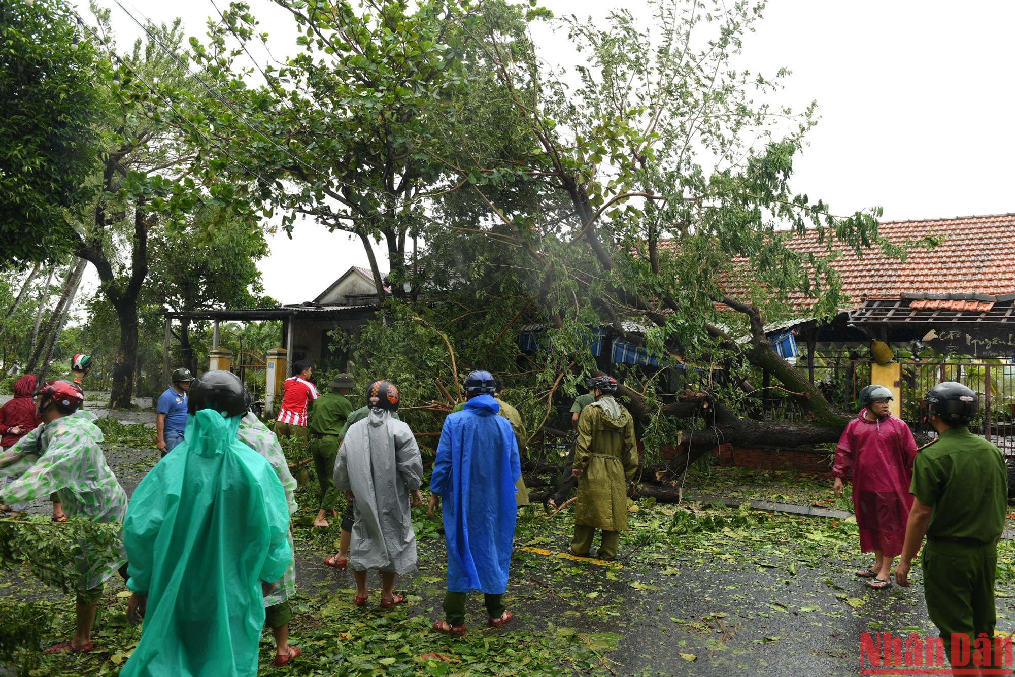 Sau một đêm bão quật, khắp làng quê và đường phố ở Hội An ngổn ngang cây cối, tôn lợp. Tuy nhiên từ sáng sớm, khi chưa có sự chỉ đạo từ Ủy ban nhân dân thành phố, các lực lượng như quân đội, công an, vệ sinh môi trường đã đội mưa ra dọn dẹp thông đường.