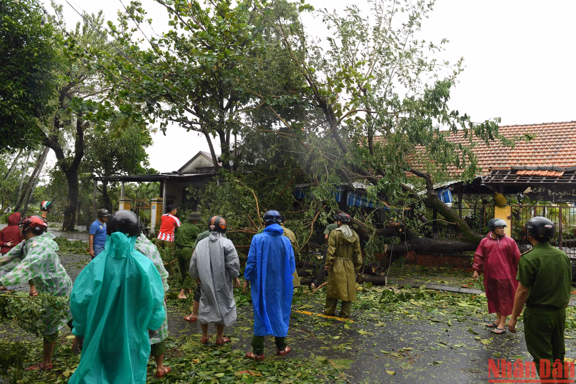 Sau một đêm bão quật, khắp làng quê và đường phố ở Hội An ngổn ngang cây cối, tôn lợp. Tuy nhiên từ sáng sớm, khi chưa có sự chỉ đạo từ Ủy ban nhân dân thành phố, các lực lượng như quân đội, công an, vệ sinh môi trường đã đội mưa ra dọn dẹp thông đường.