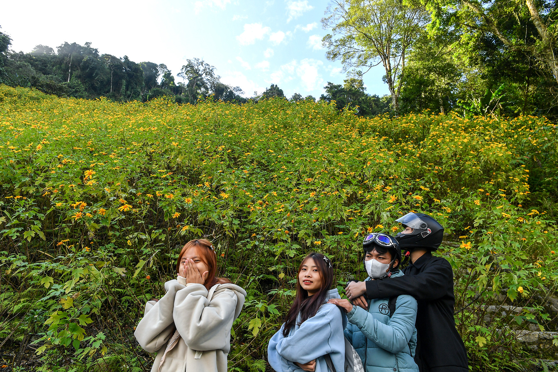 [Ảnh] Giới trẻ thích thú với rừng hoa dã quỳ ở Ba Vì ảnh 5