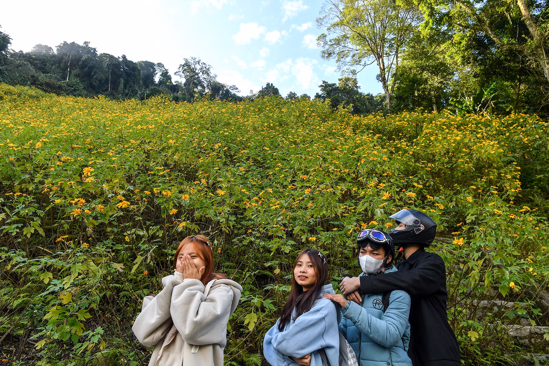 [Ảnh] Giới trẻ thích thú với rừng hoa dã quỳ ở Ba Vì ảnh 5