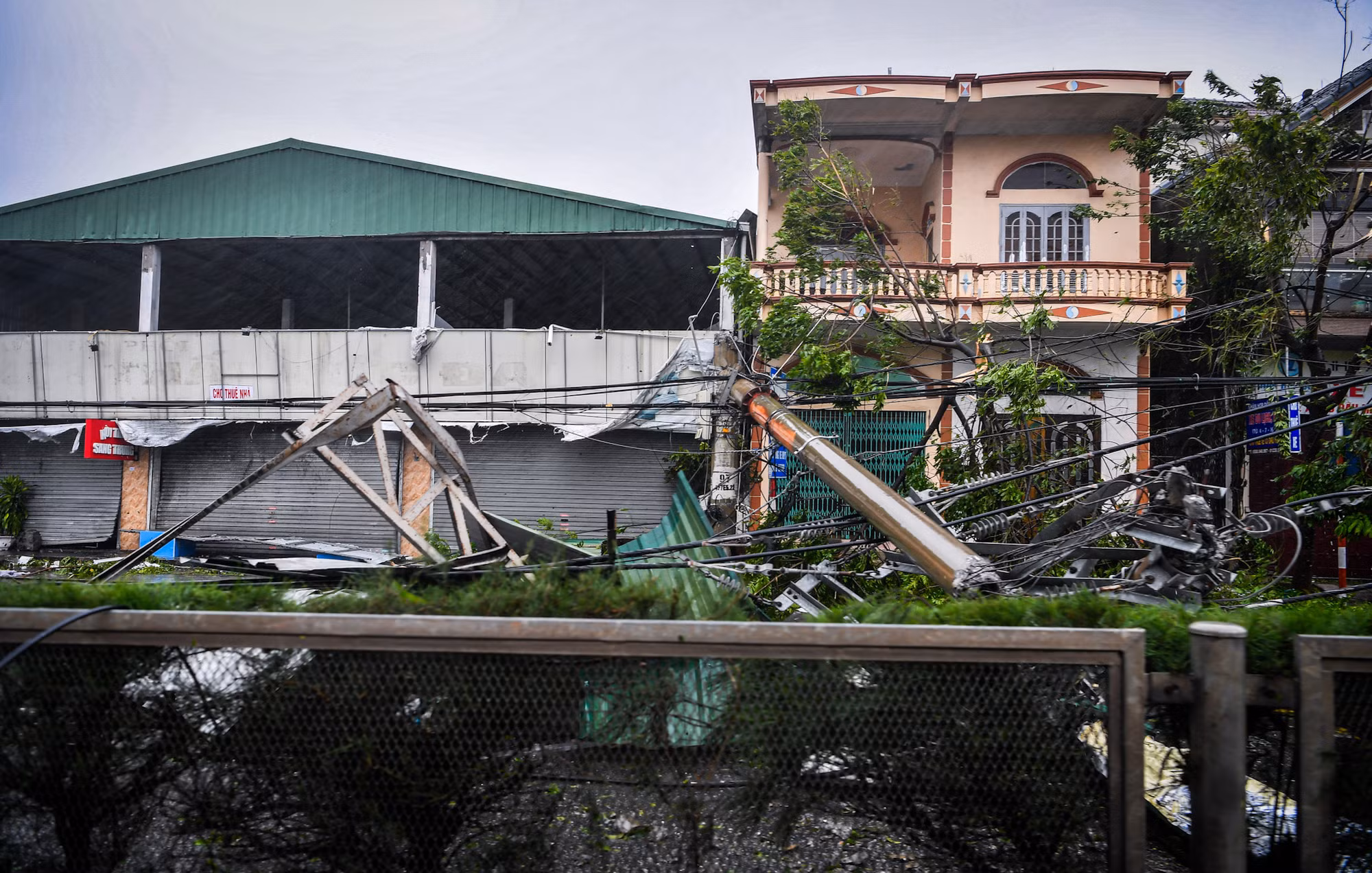 Bão bẻ gãy cột điện bê-tông... Bão bẻ gãy cột điện bê-tông...