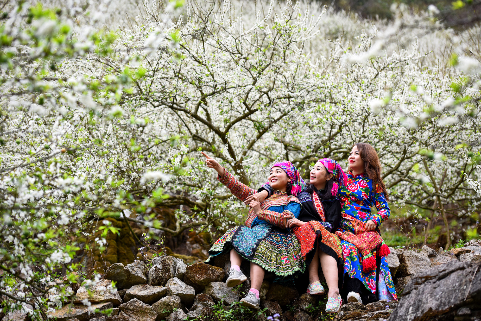 Đến Mu Náu hoa, du khách còn có thể ngắm nhìn, hòa mình vào khung cảnh hữu tình tựa “xứ mộng mơ”.