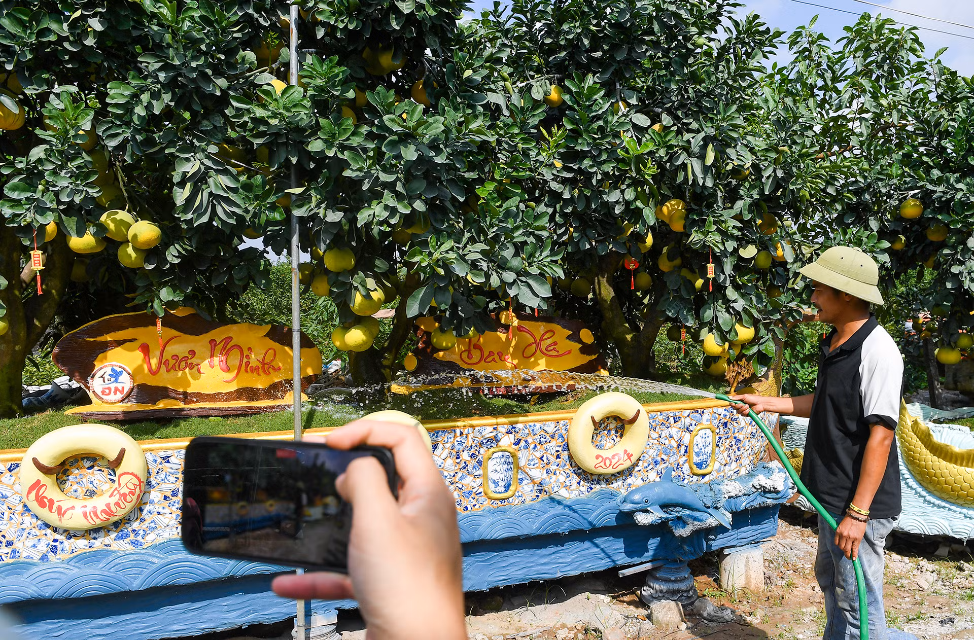 "Để tạo ra các tác phẩm này, ngay từ tháng 8/2023 tôi đã phải đi lựa chọn những cây bưởi có dáng thế đẹp. Sau đó tiến hành thiết kế chậu sao cho vừa vặn để khi hoàn thành những tác phẩm phải thật hoàn hảo tựa như những bức tranh đẹp mắt", anh Năng chia sẻ. "Để tạo ra các tác phẩm này, ngay từ tháng 8/2023 tôi đã phải đi lựa chọn những cây bưởi có dáng thế đẹp. Sau đó tiến hành thiết kế chậu sao cho vừa vặn để khi hoàn thành những tác phẩm phải thật hoàn hảo tựa như những bức tranh đẹp mắt", anh Năng chia sẻ.