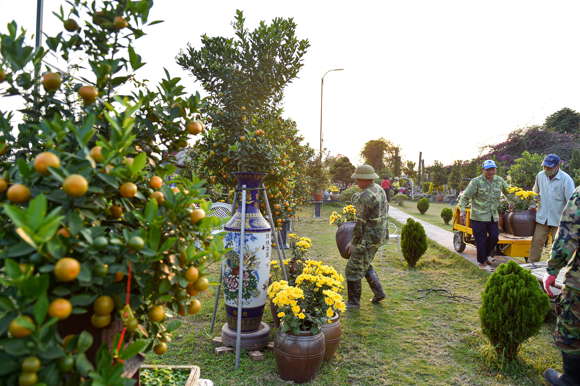 Với lượng quất được khách hàng đặt mua từ sớm và thời tiết thuận lợi, các nhà vườn tại Tứ Liên kỳ vọng thị trường quất cảnh dịp Tết năm nay sẽ sôi động.