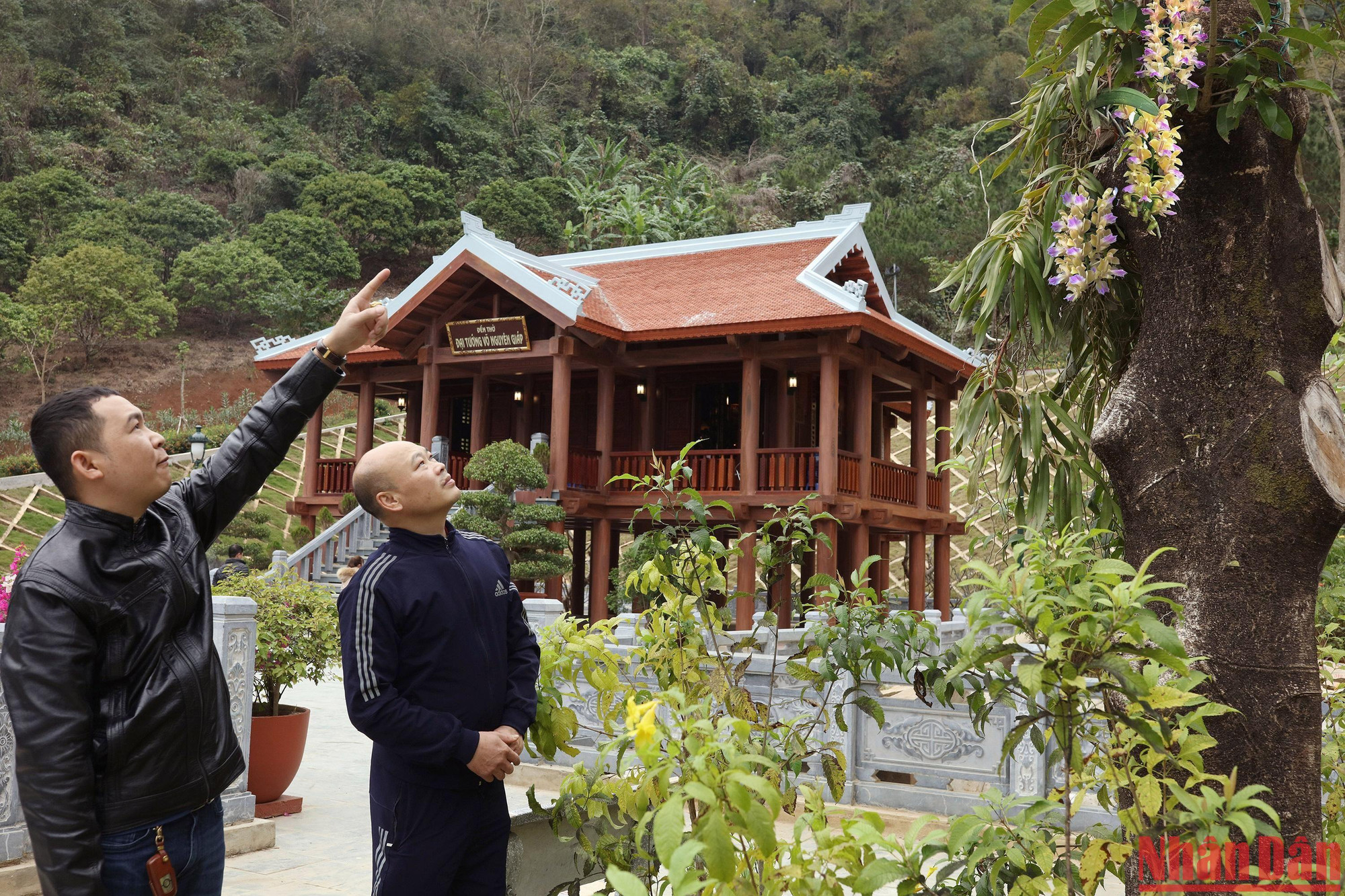 Hội hoa lan huyện Phù Yên góp hàng trăm giống lan quý làm đẹp cho khu di tích.
