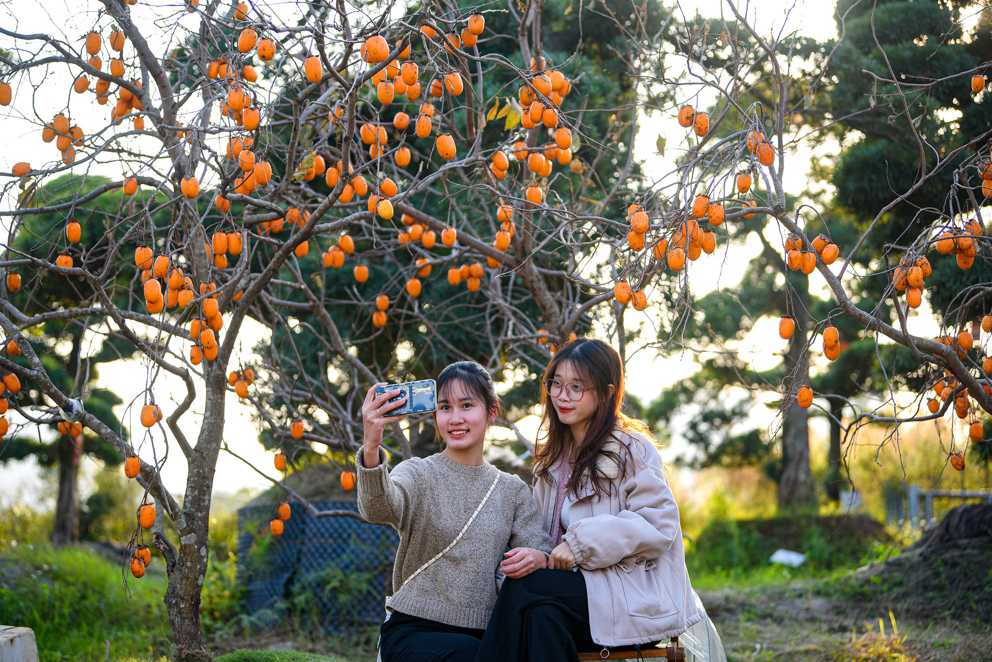 Các bạn trẻ check-in với con đường hồng "độc lạ" mà không phải lên tận Mộc Châu