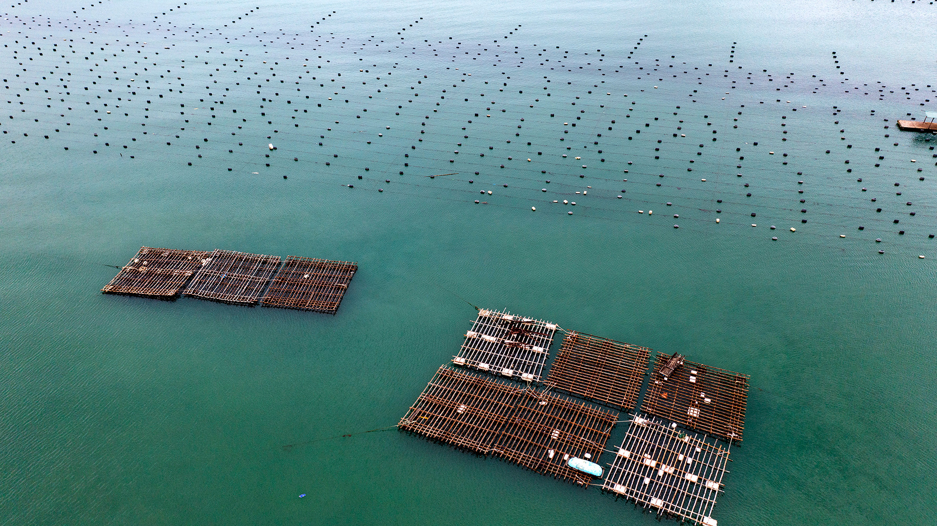 Khu vực sản xuất và nuôi hàu của các hộ kinh doanh, doanh nghiệp hàu tại Vịnh Bái Tử Long (Quảng Ninh) nhìn từ trên cao.