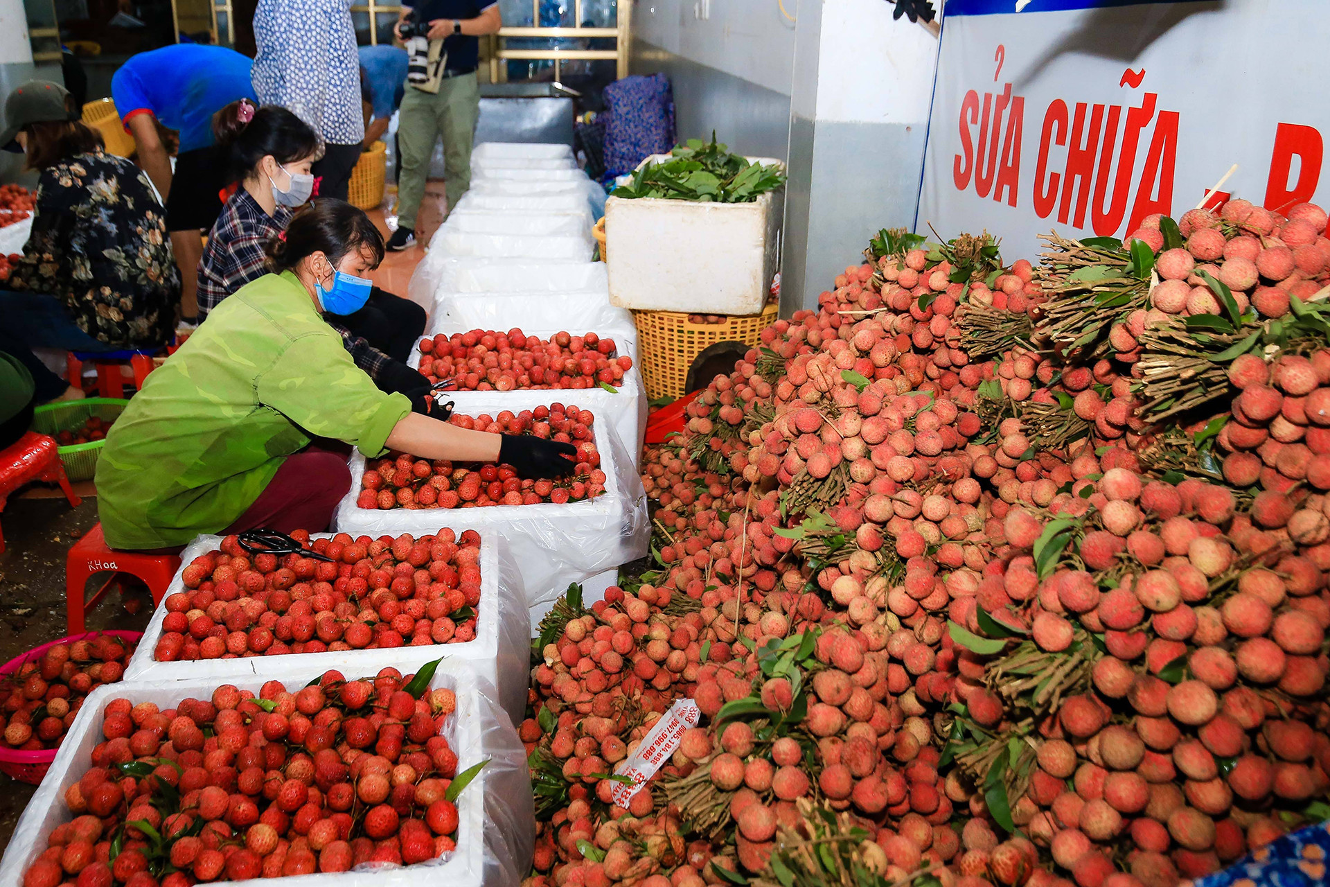 [Ảnh] Vải thiều Lục Ngạn, sản phẩm OCOP nổi tiếng của Bắc Giang ảnh 9