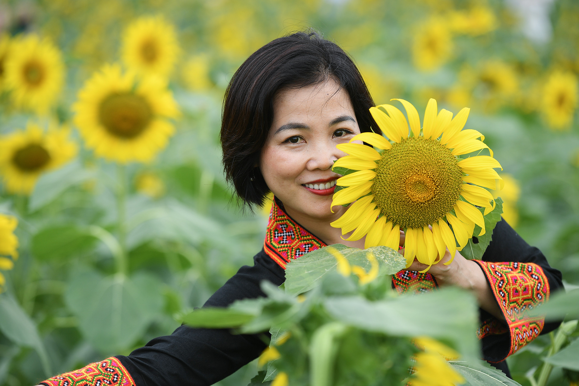 [Ảnh] Mê mẩn ngắm cánh đồng hoa hướng dương rực rỡ khoe sắc tại Ecopark ảnh 11