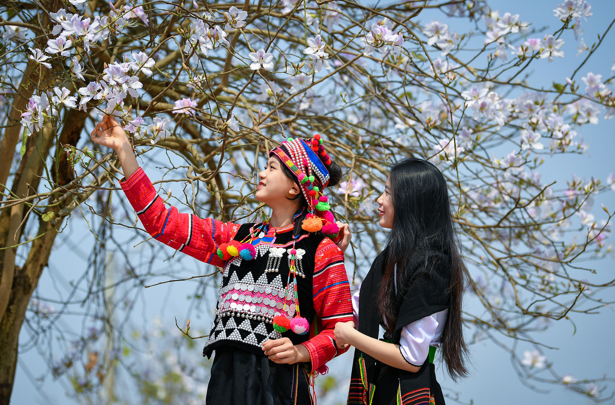 [Ảnh] Thiếu nữ Tây Bắc khoe sắc cùng hoa ban Điện Biên những ngày tháng 3 ảnh 8